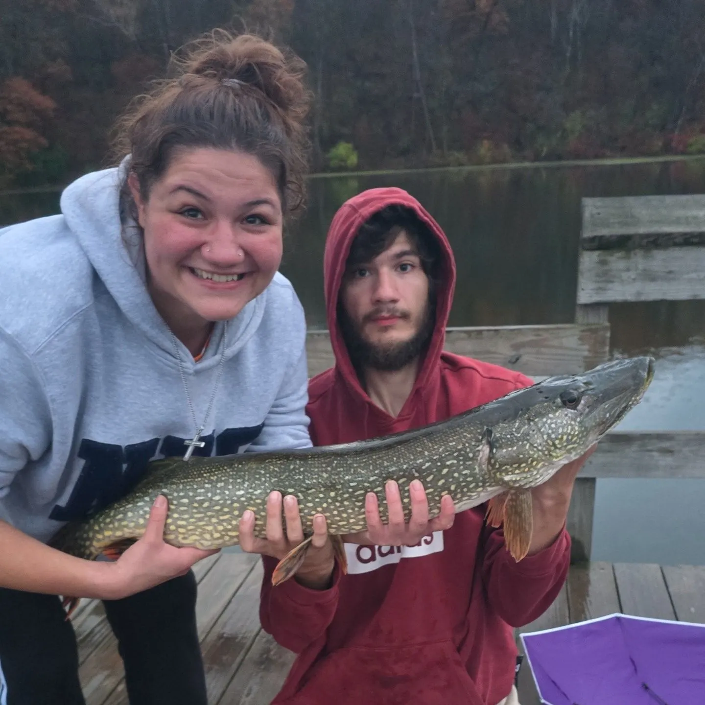 Northern pike caught on Fishbrain