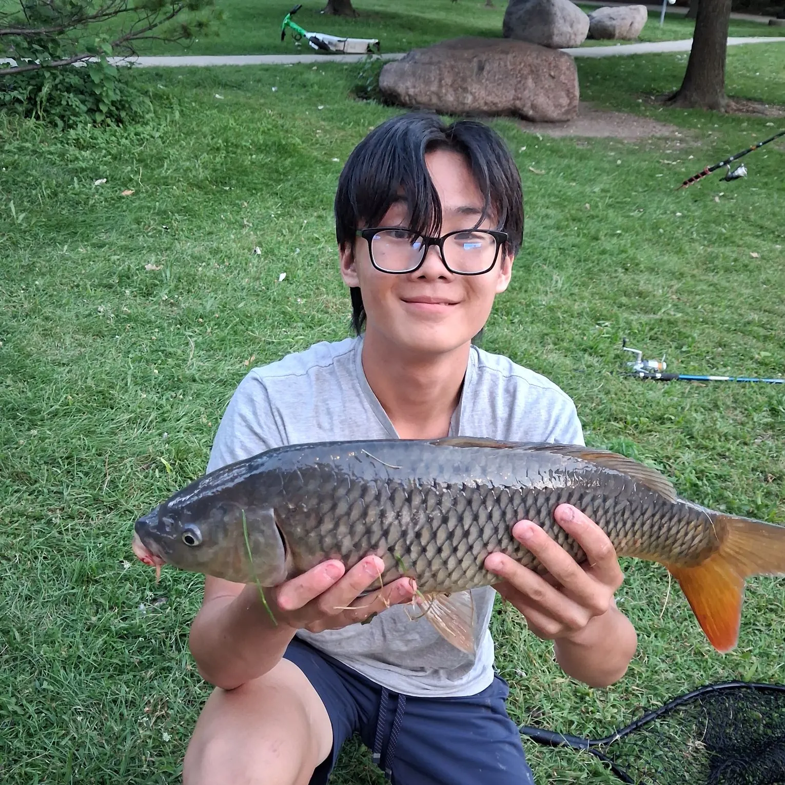 Common carp caught on Fishbrain