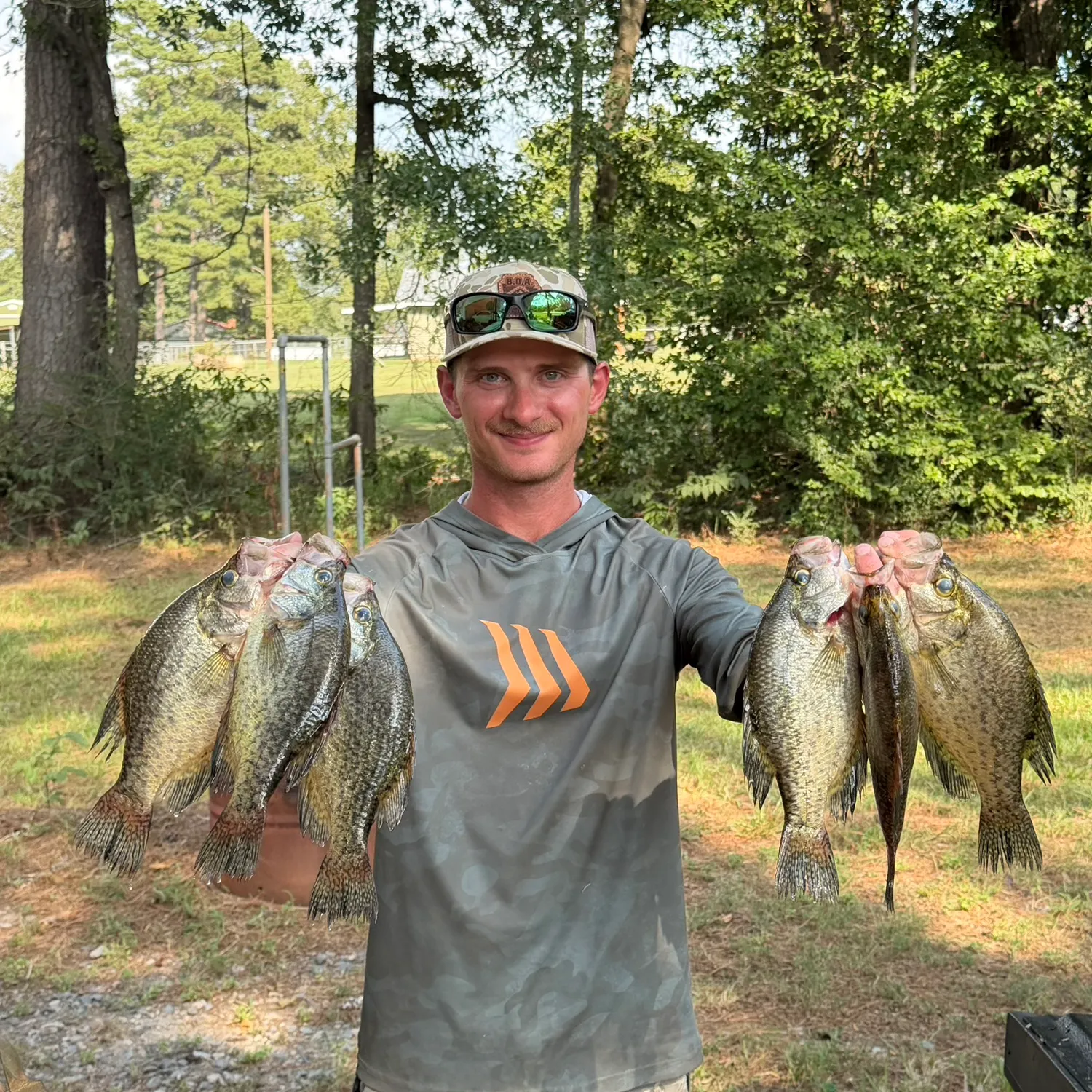 Black crappie caught on Fishbrain