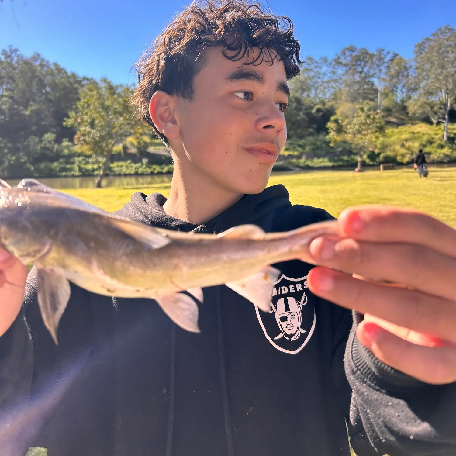 The most recent Coco sea catfish catches on Fishbrain