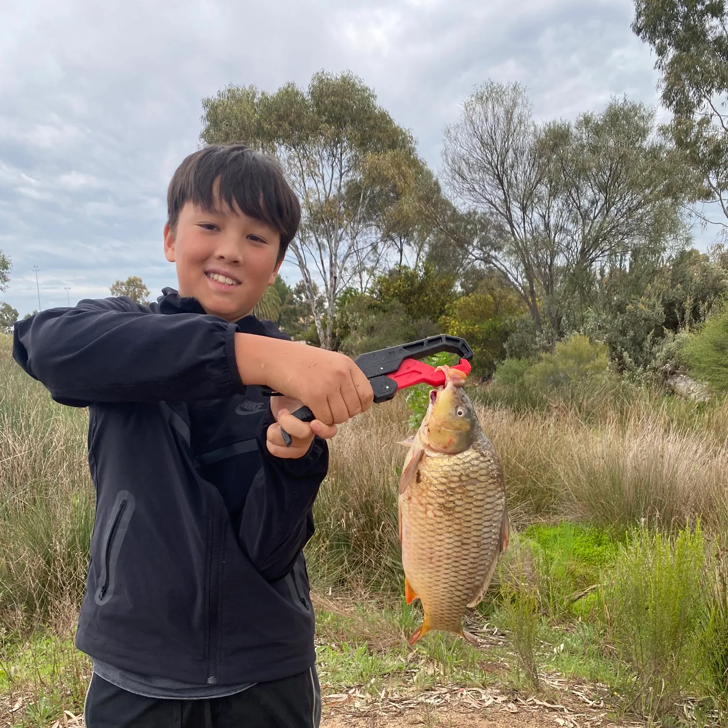 Common carp caught on Fishbrain