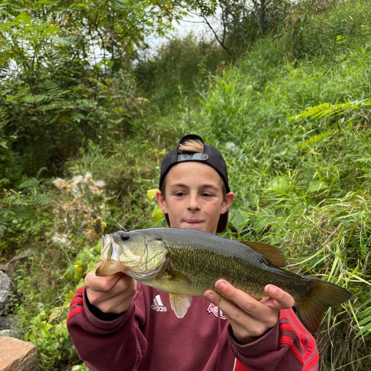 Largemouth bass caught on Fishbrain