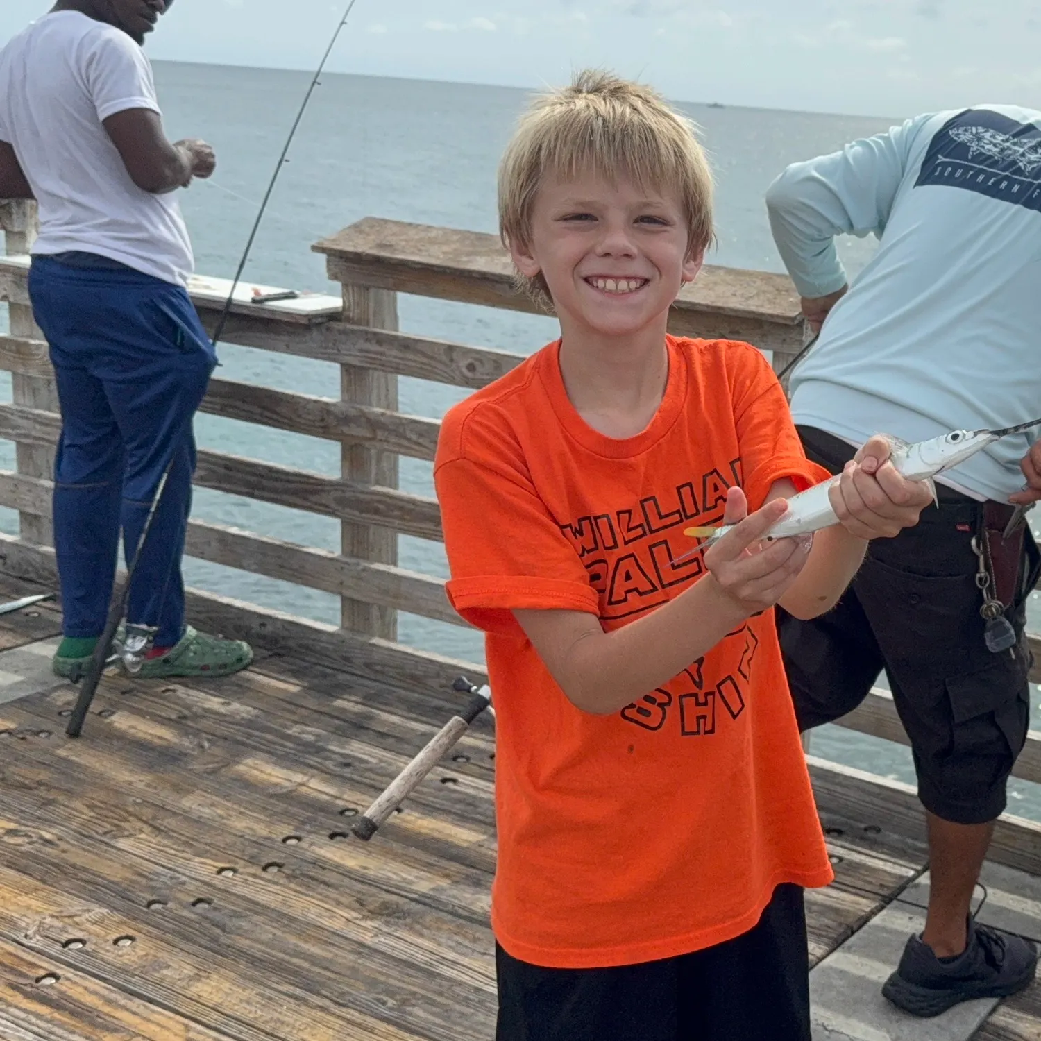 The most recent Ballyhoo halfbeak catches on Fishbrain