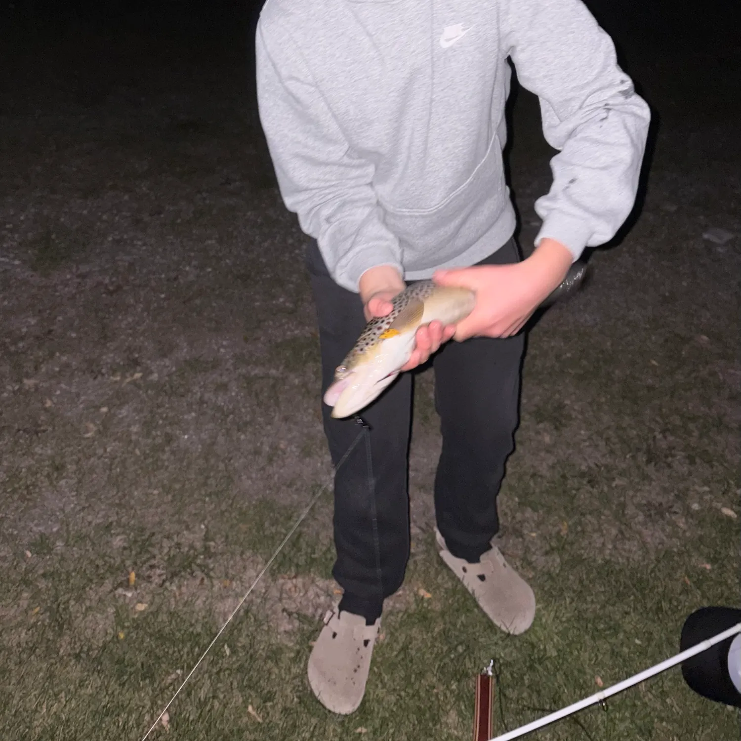 Brown trout caught on Fishbrain
