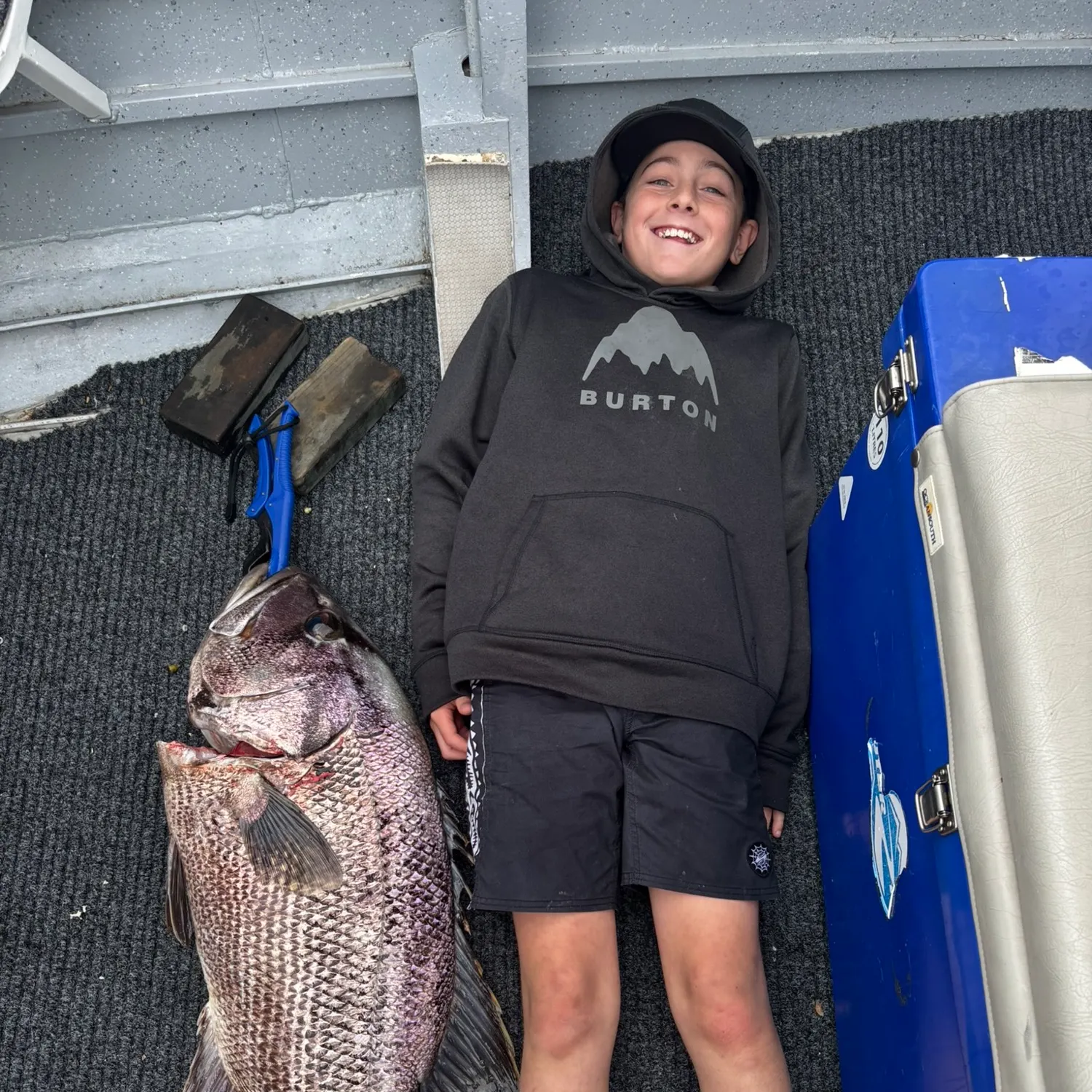 The most recent Westralian jewfish catches on Fishbrain