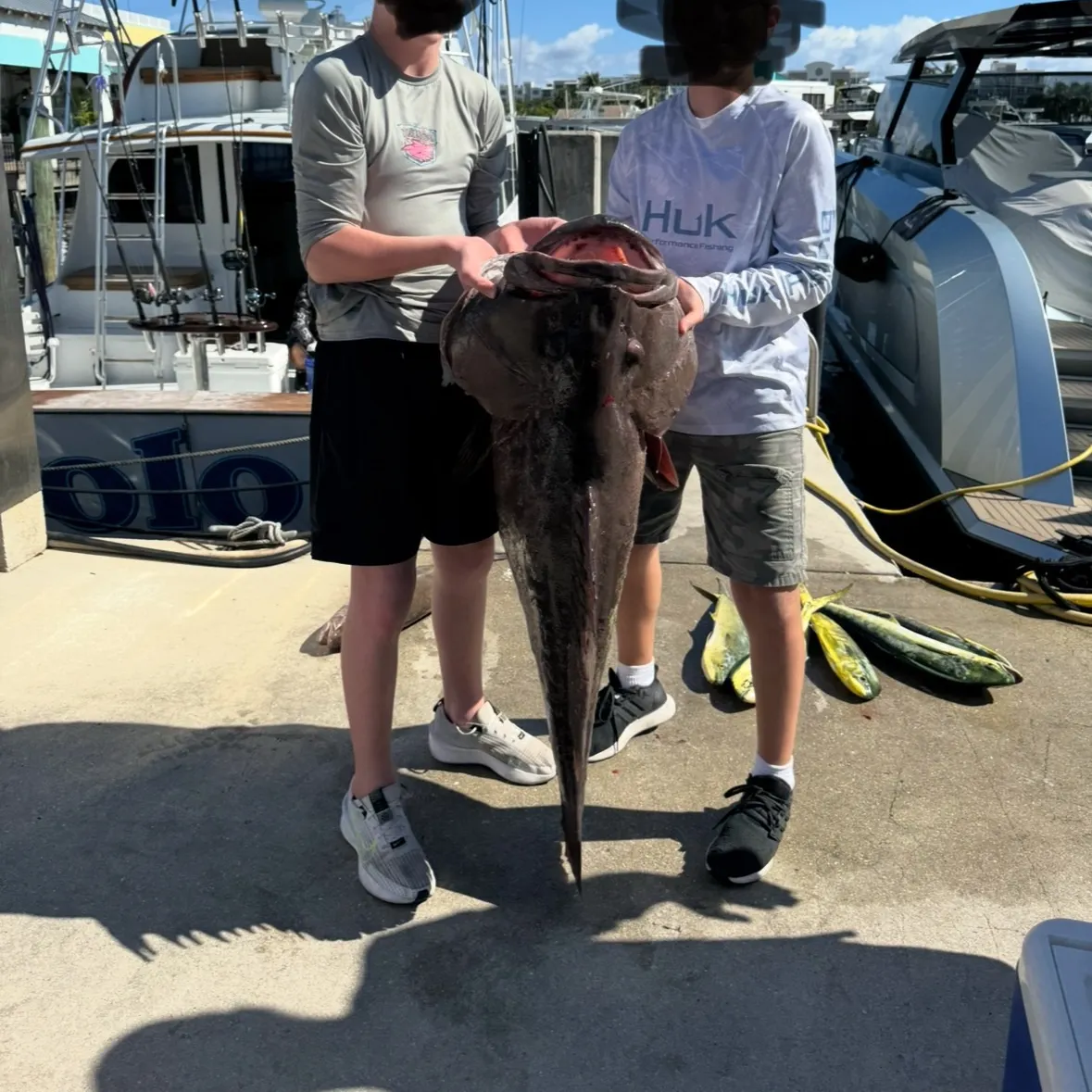 The most recent Warsaw grouper catches on Fishbrain