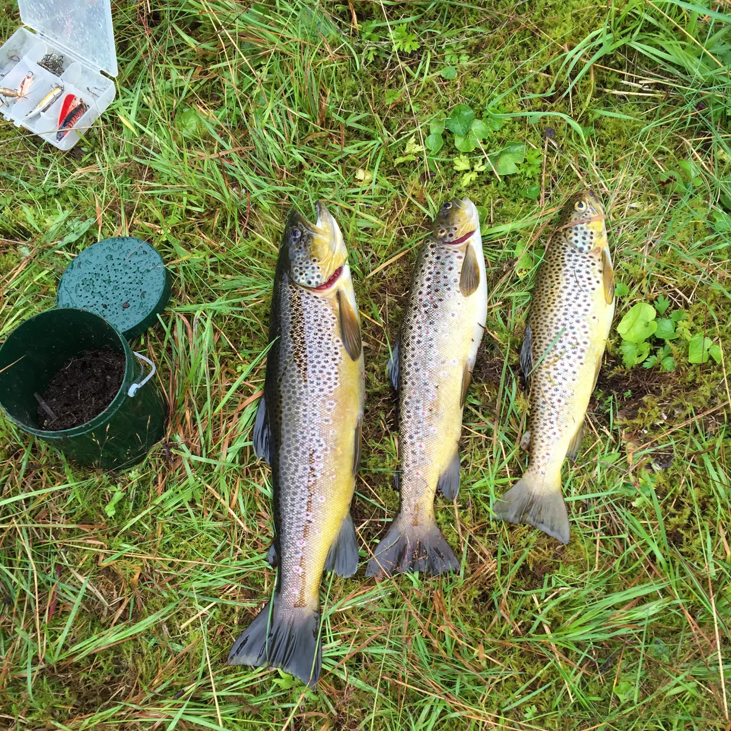 recently logged catches