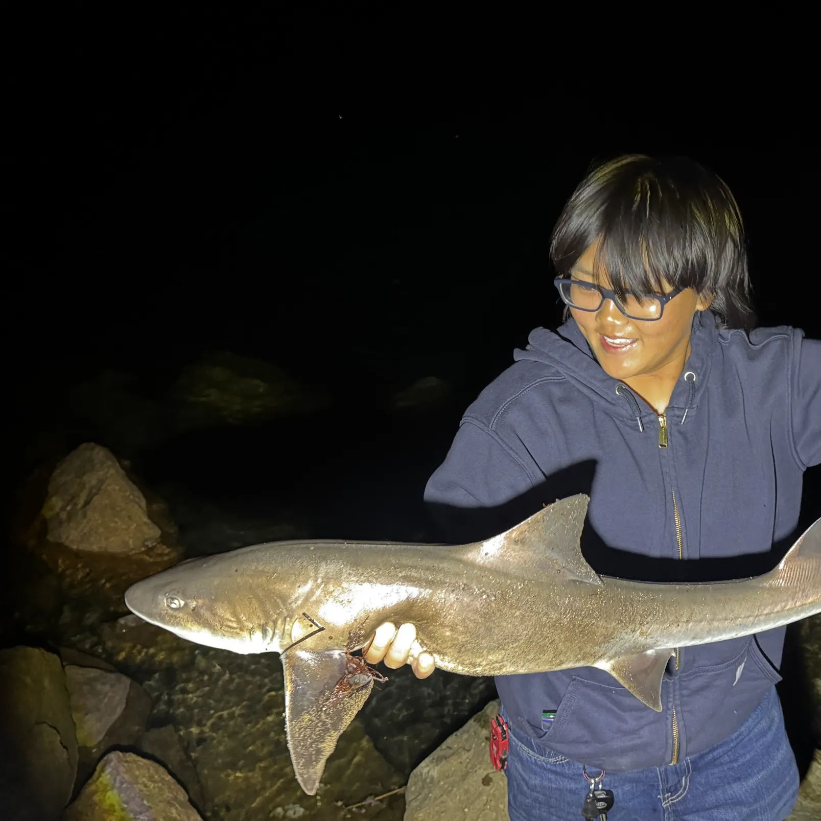 The most recent Grey smooth-hound catches on Fishbrain