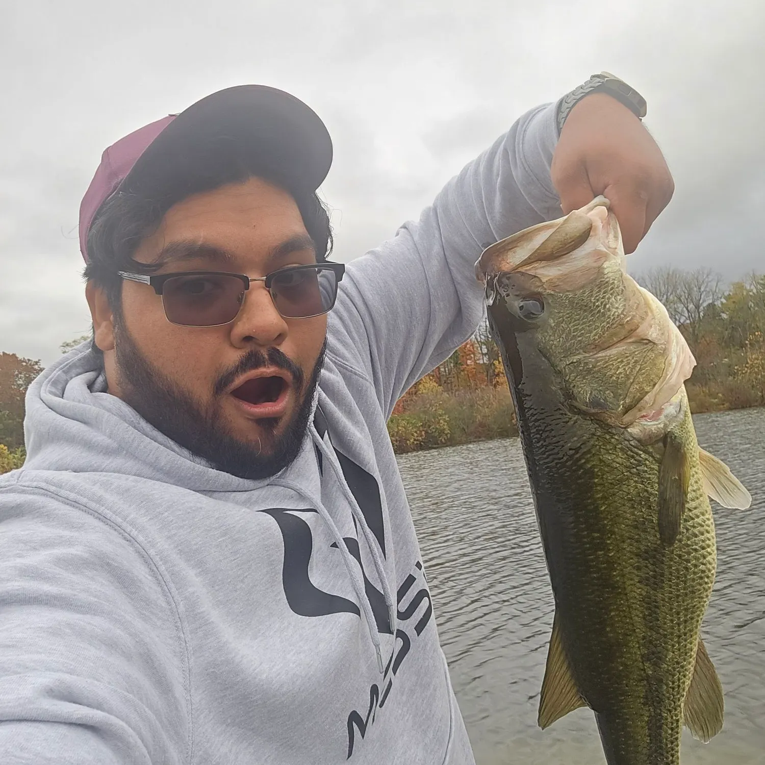 Largemouth bass caught on Fishbrain