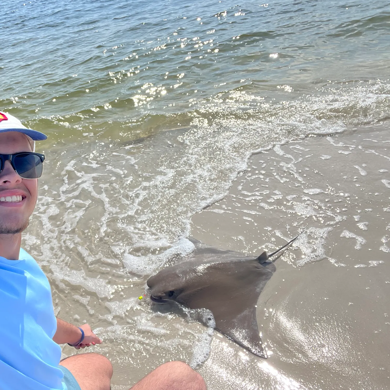 The most recent Cownose Ray catches on Fishbrain