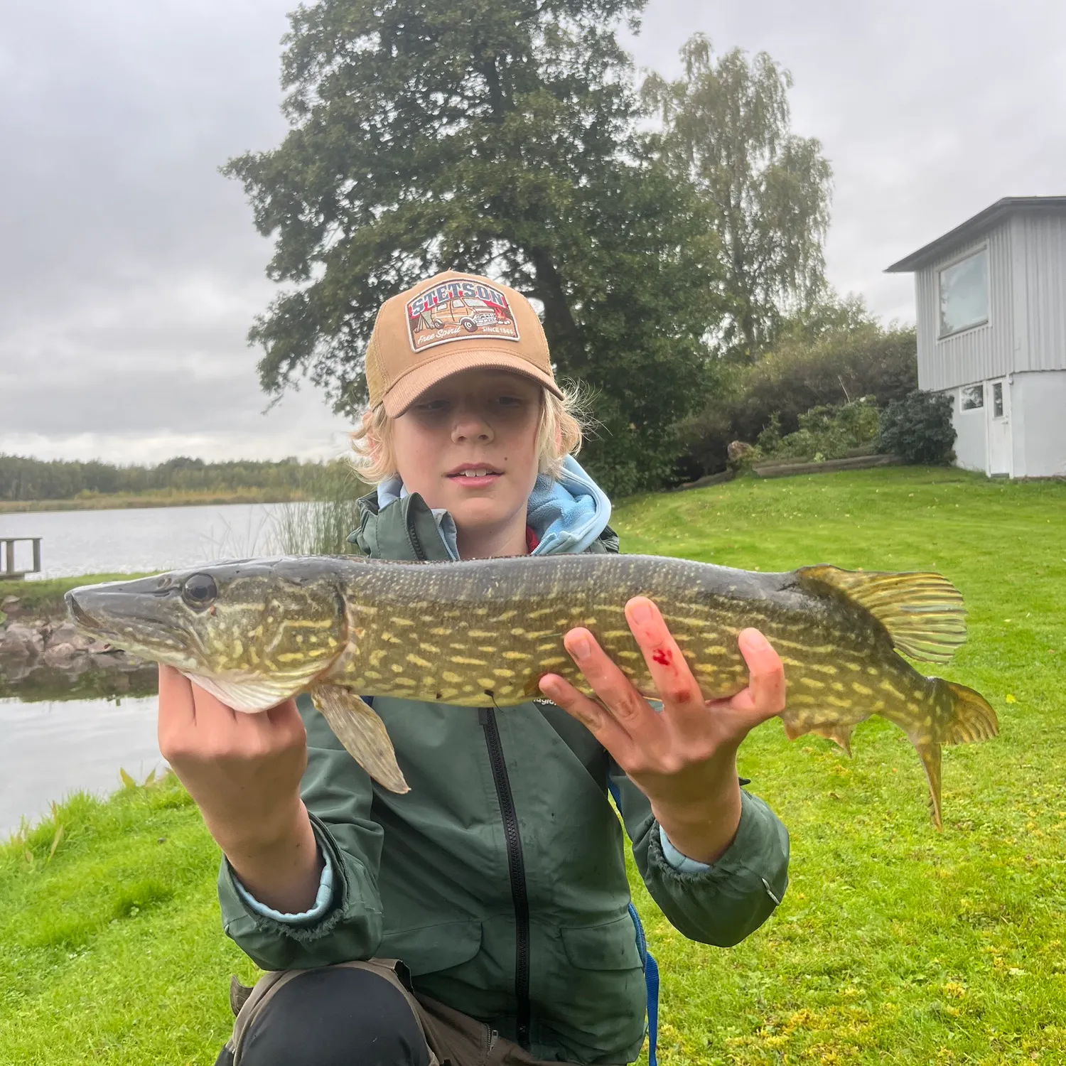 Northern pike caught on Fishbrain