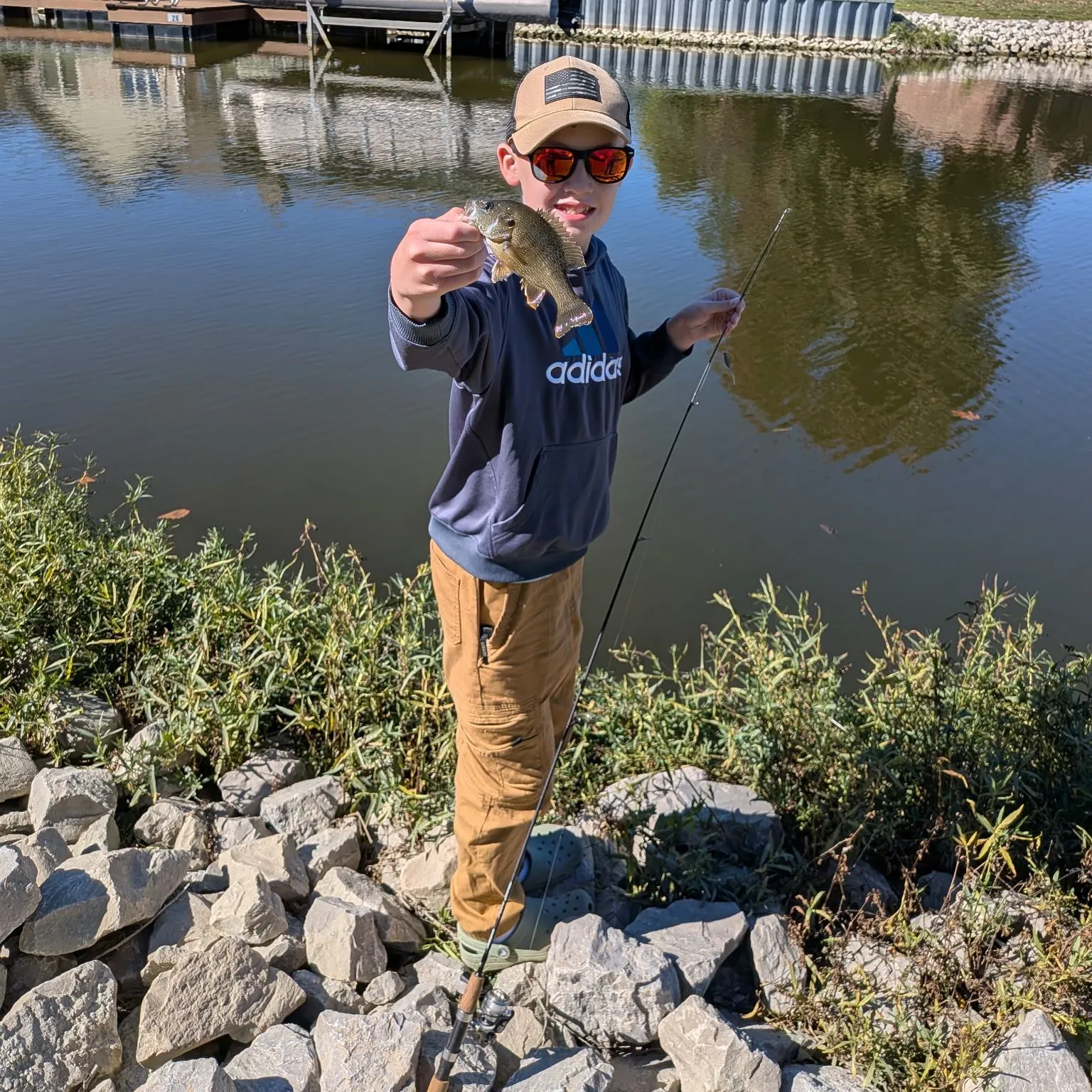Green sunfish caught on Fishbrain