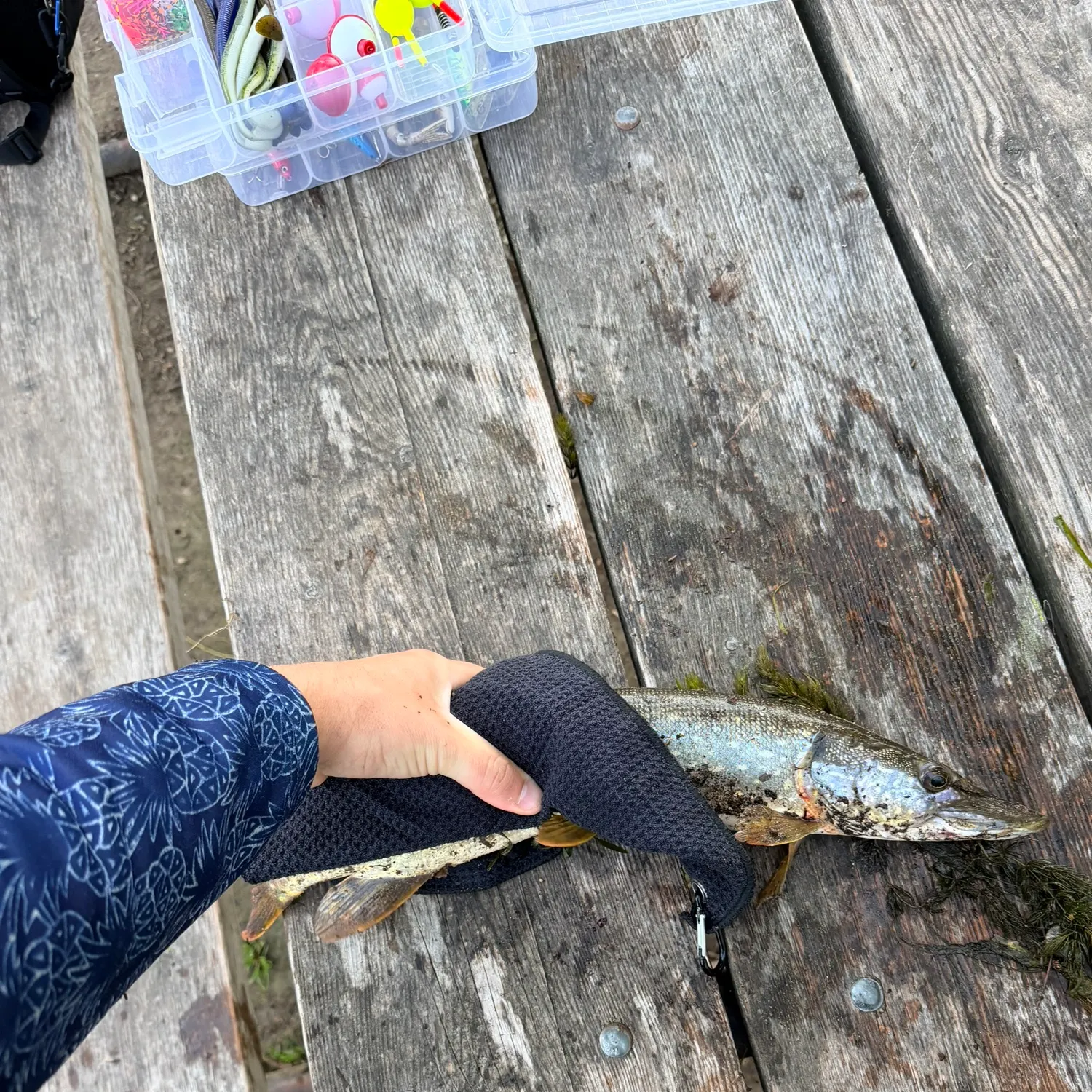 catch