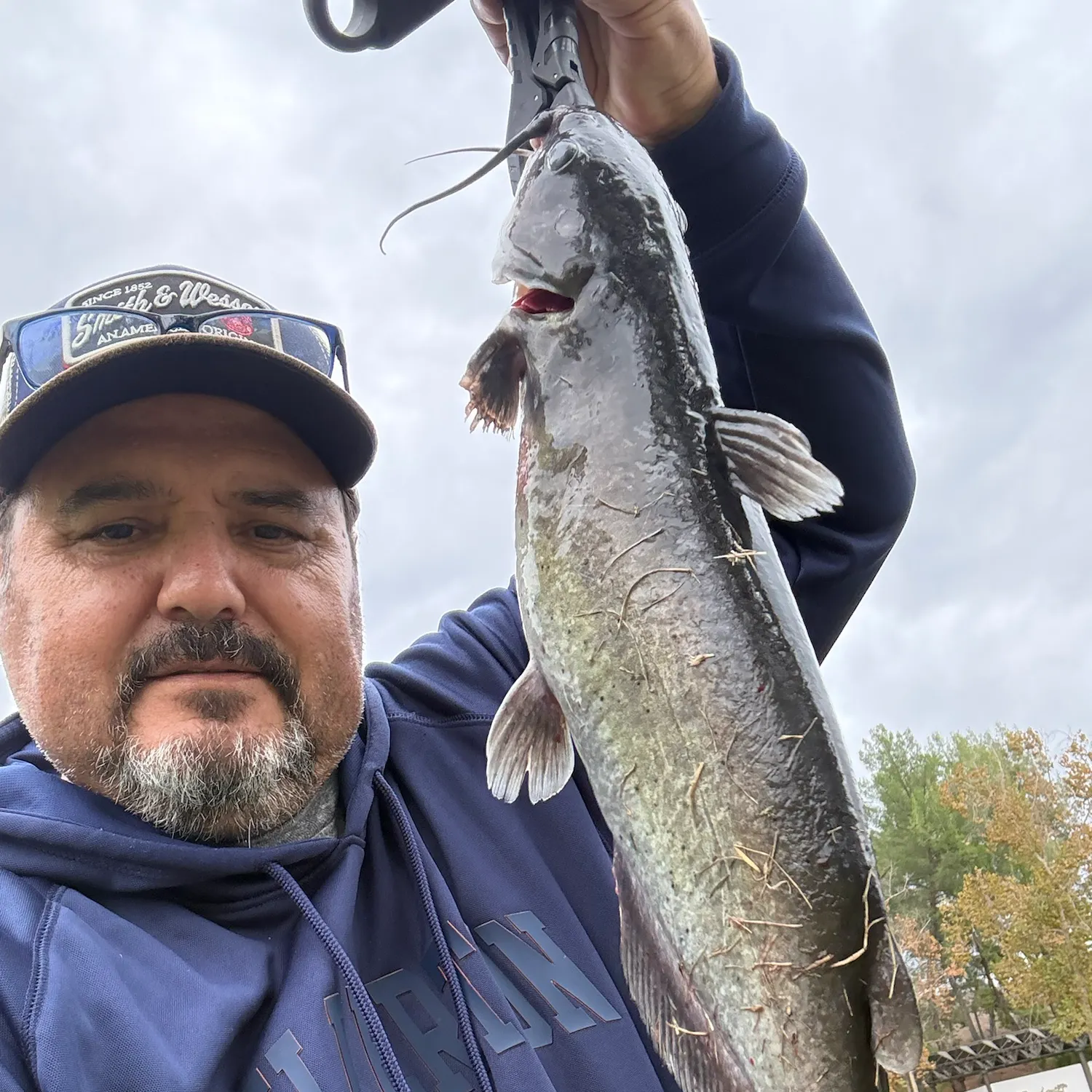 Brown bullhead caught on Fishbrain