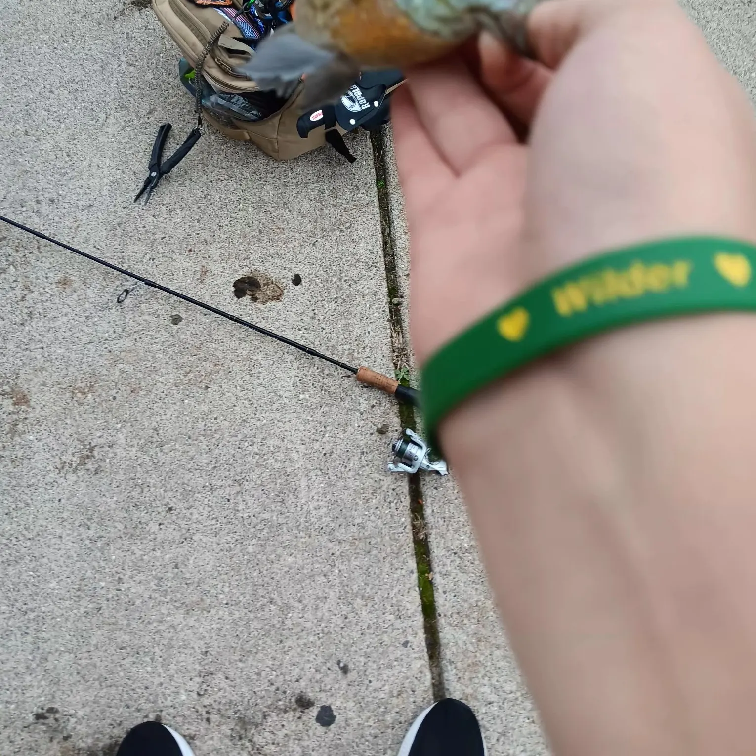 catch