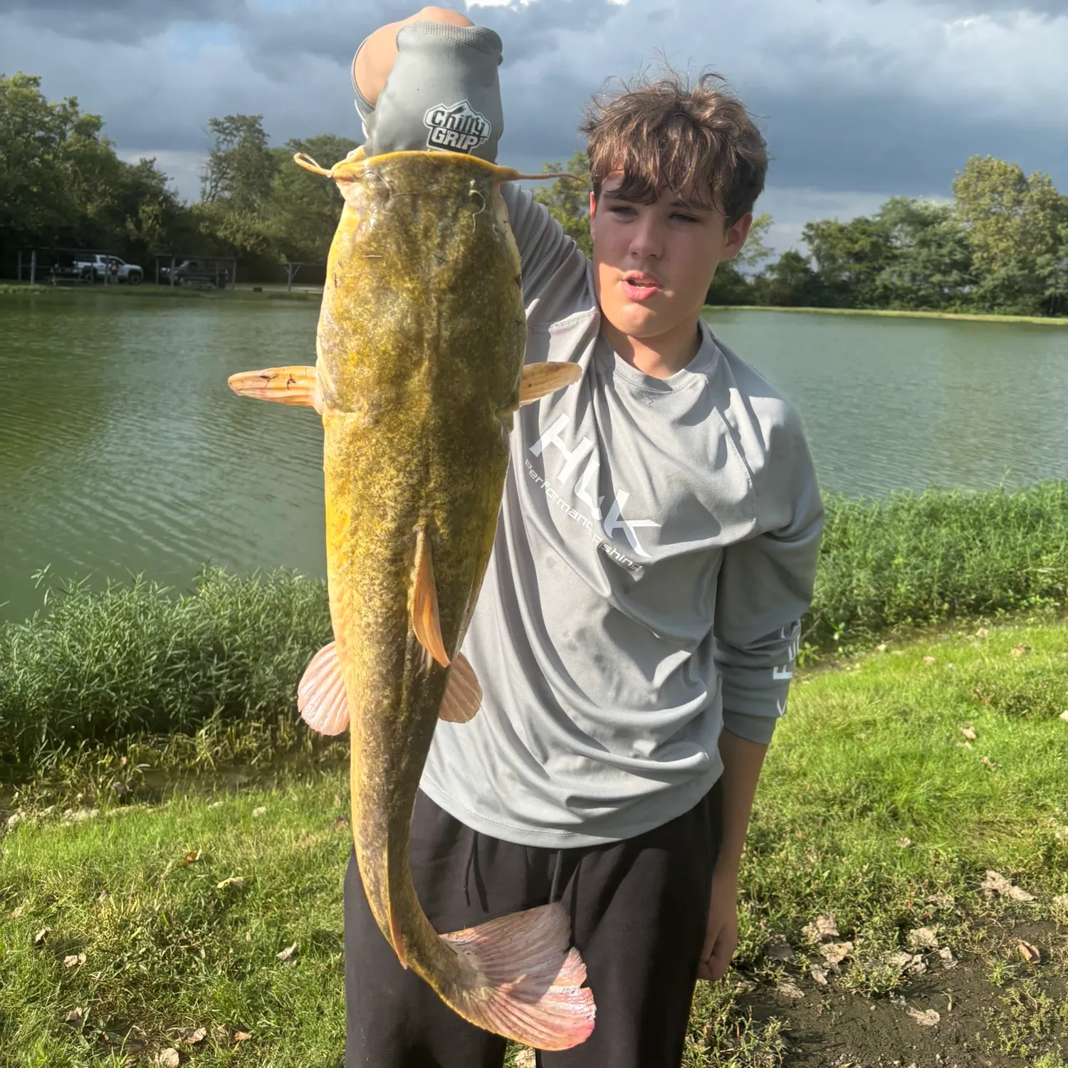 Flathead catfish caught on Fishbrain