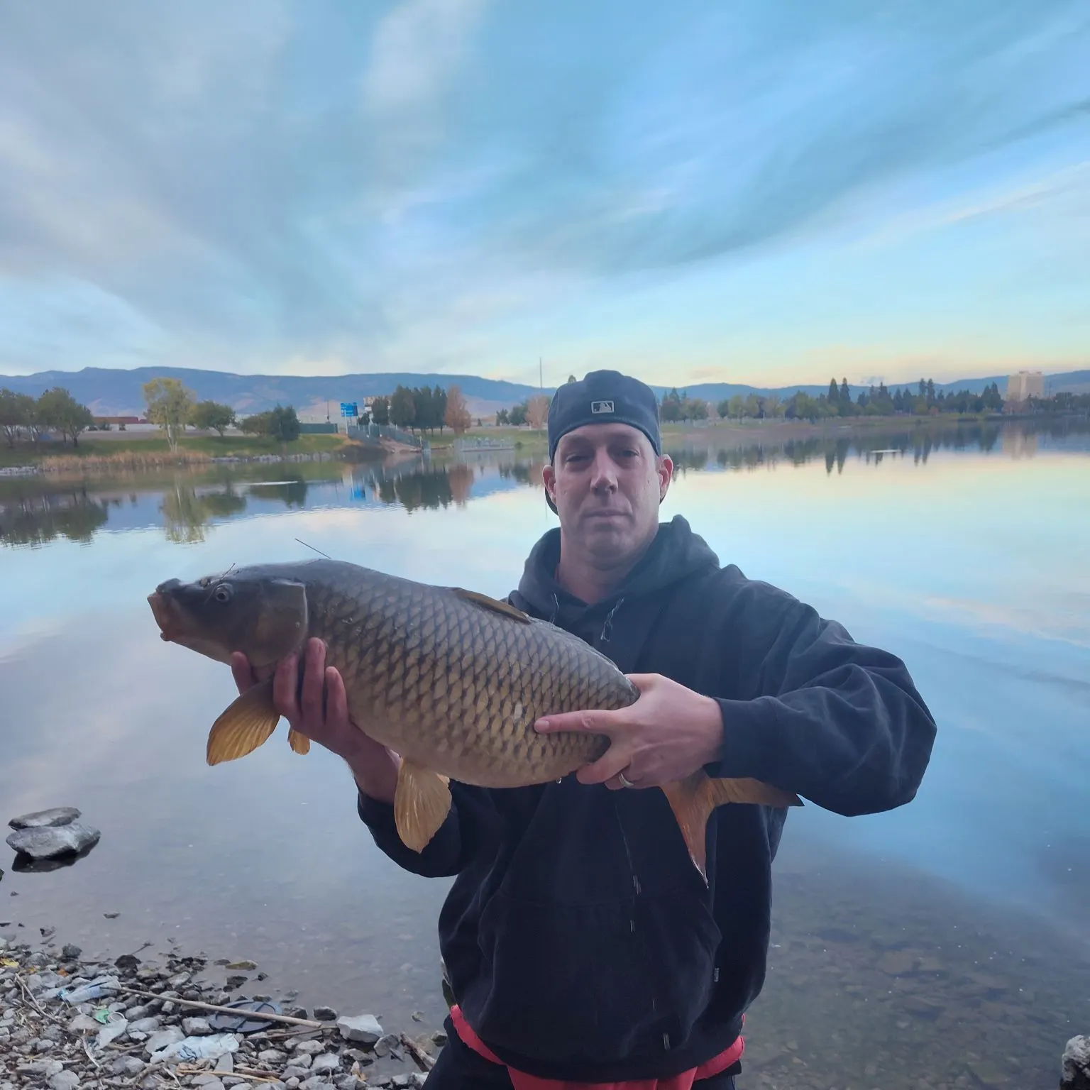 Common carp caught on Fishbrain
