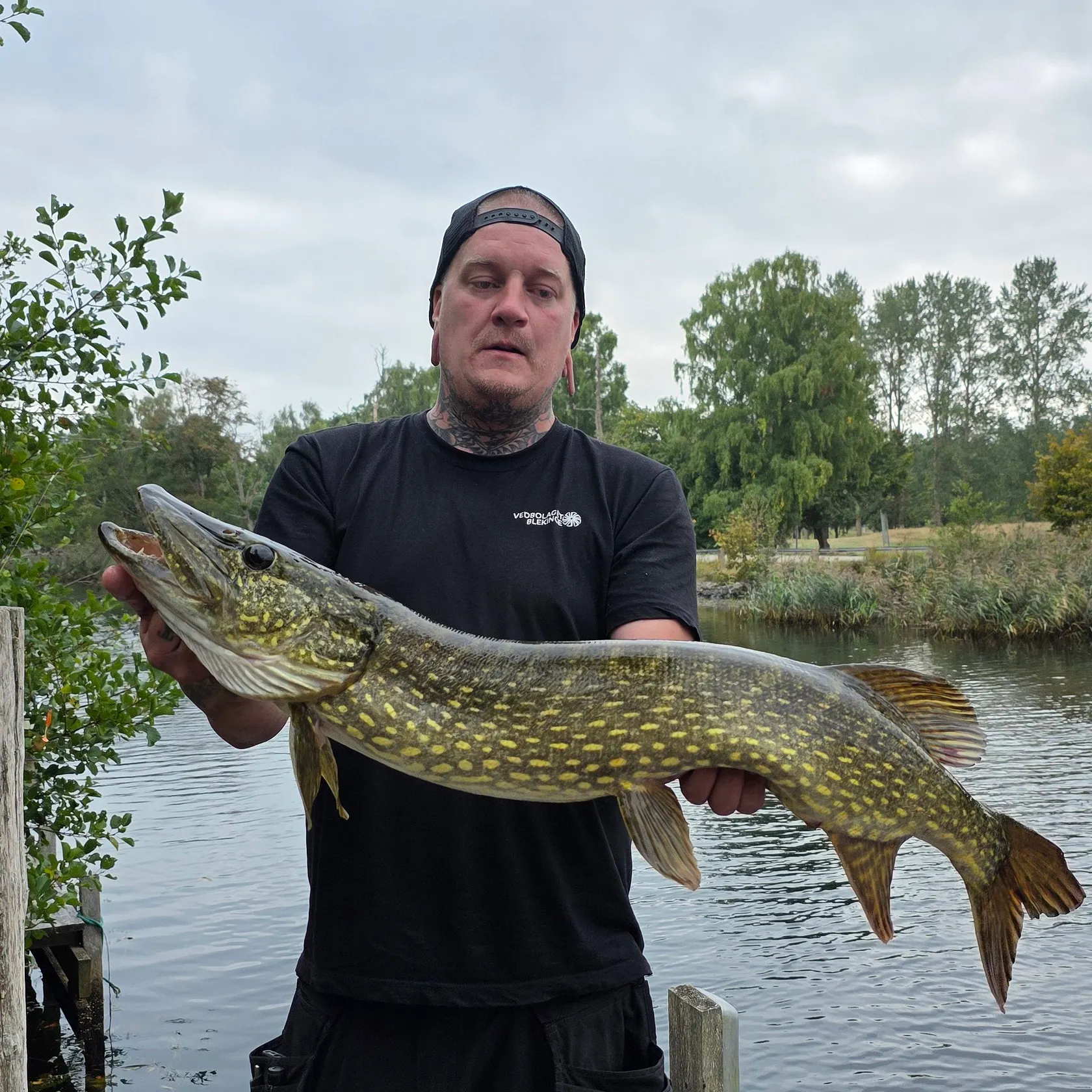 Northern pike caught on Fishbrain
