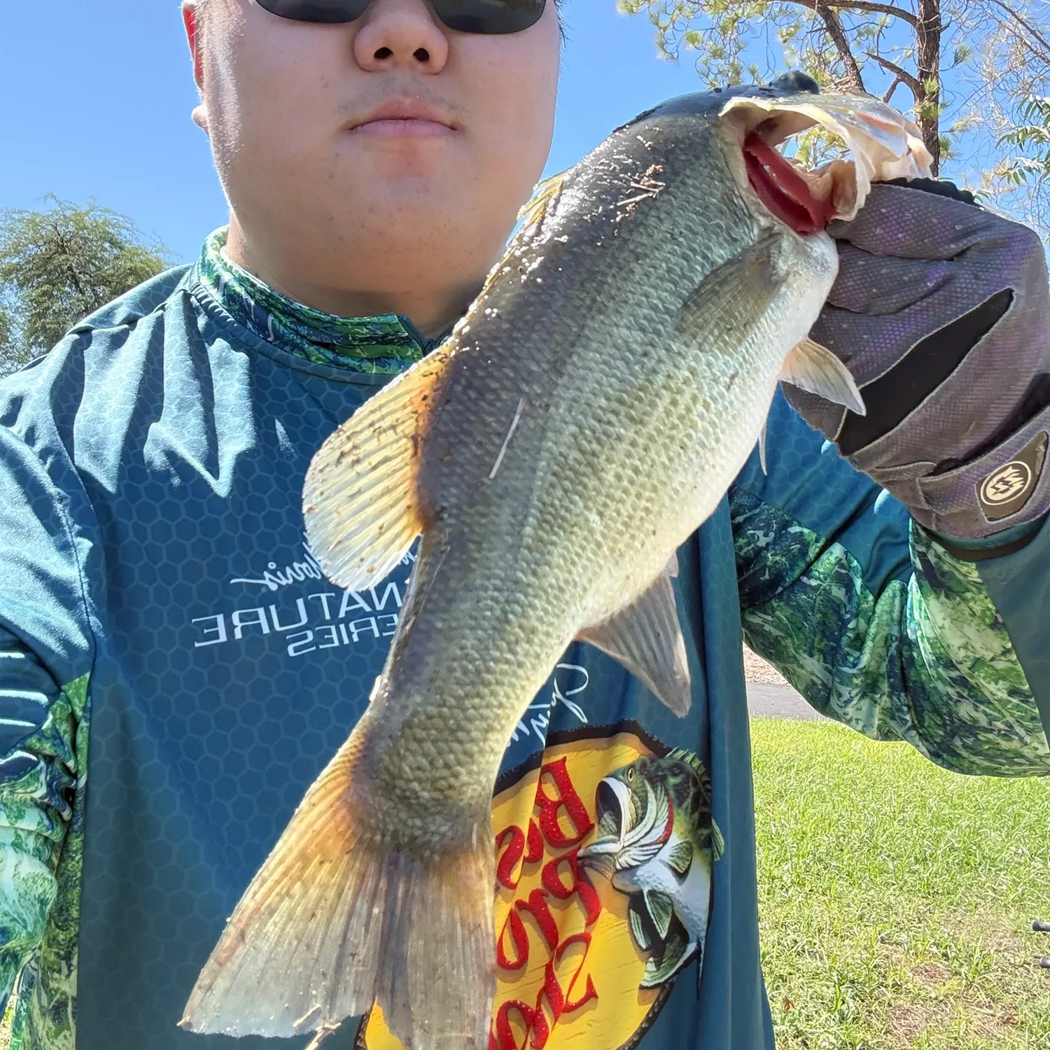 Largemouth bass caught on Fishbrain