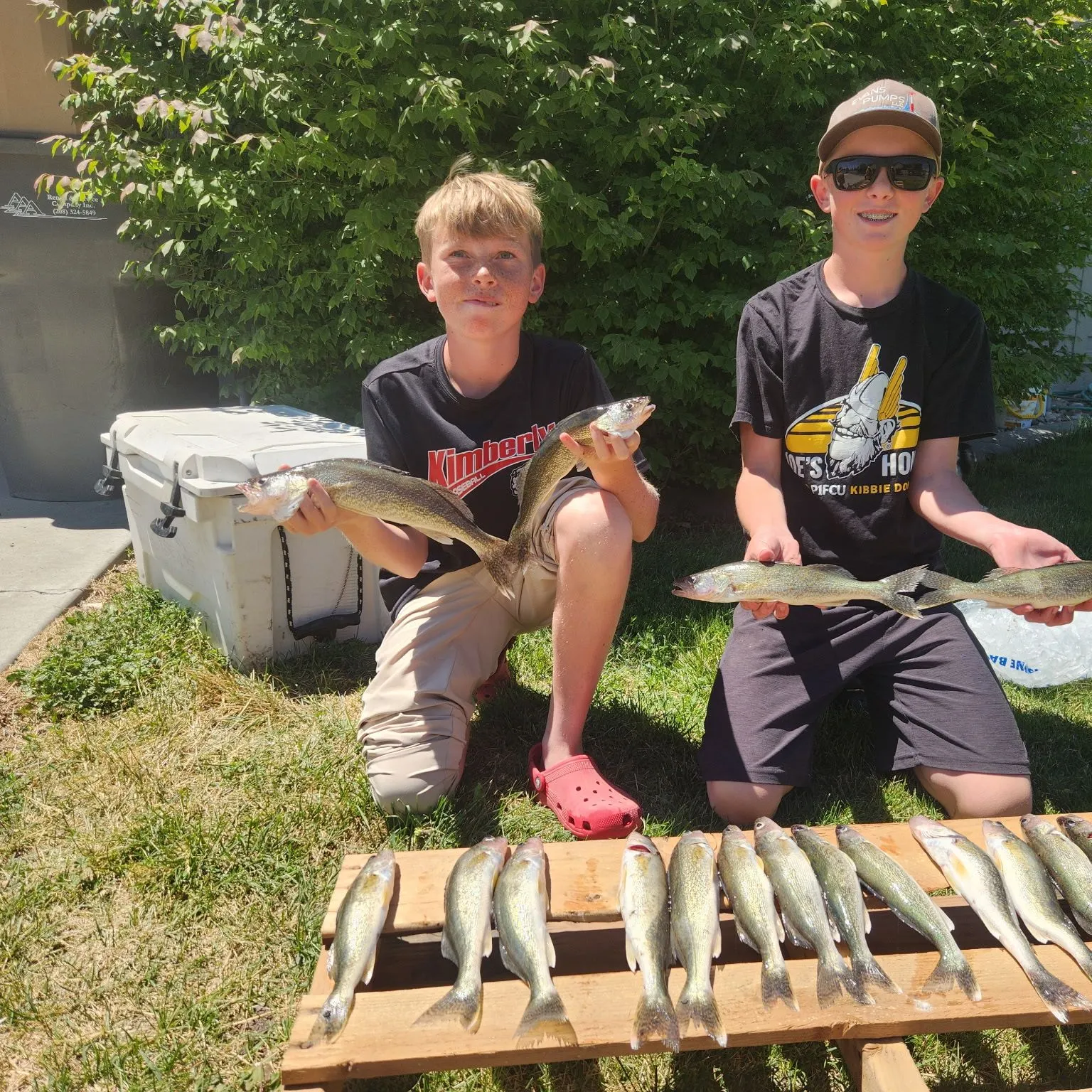 recently logged catches