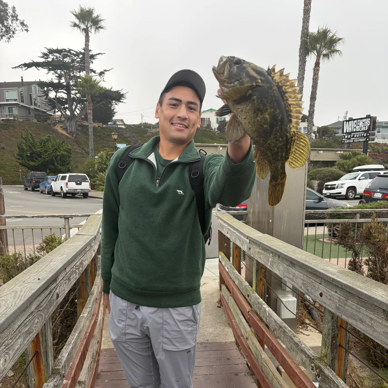The most recent Cabezon catches on Fishbrain