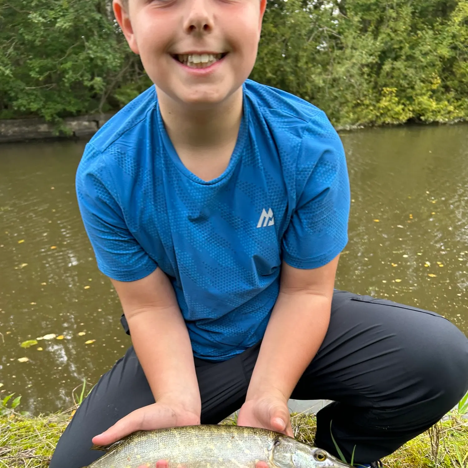 Northern pike caught on Fishbrain