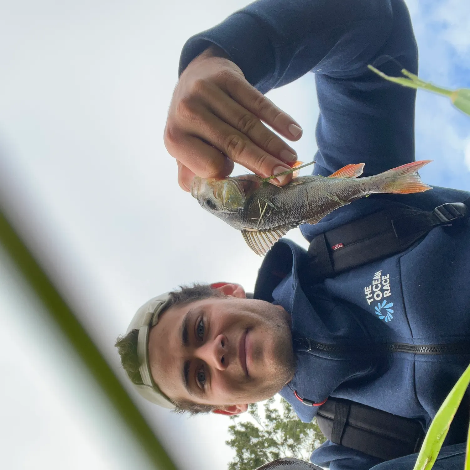 The most recent European perch catches on Fishbrain
