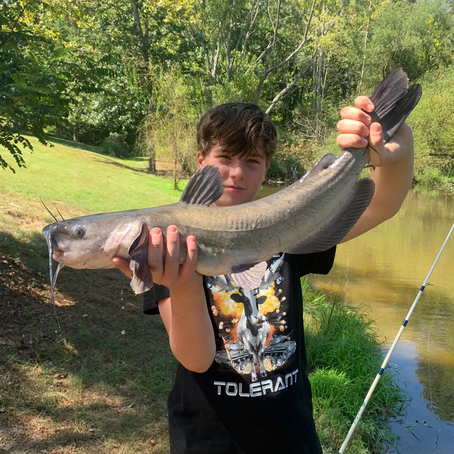 Channel catfish caught on Fishbrain