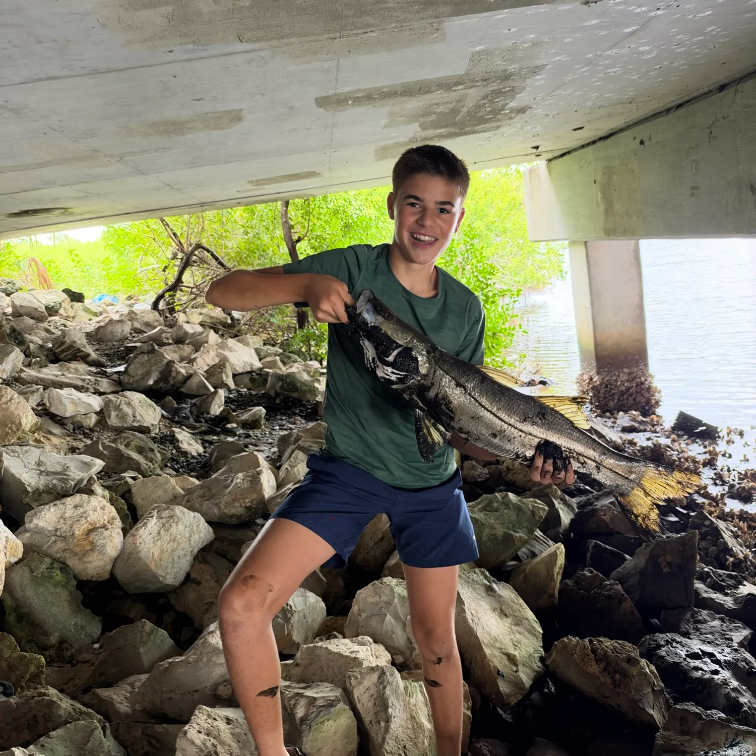 Common snook caught on Fishbrain
