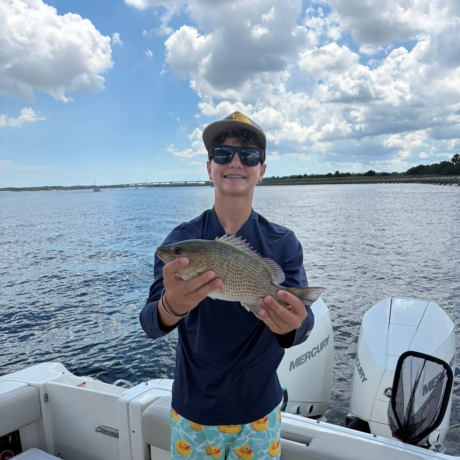Mangrove snapper caught on Fishbrain