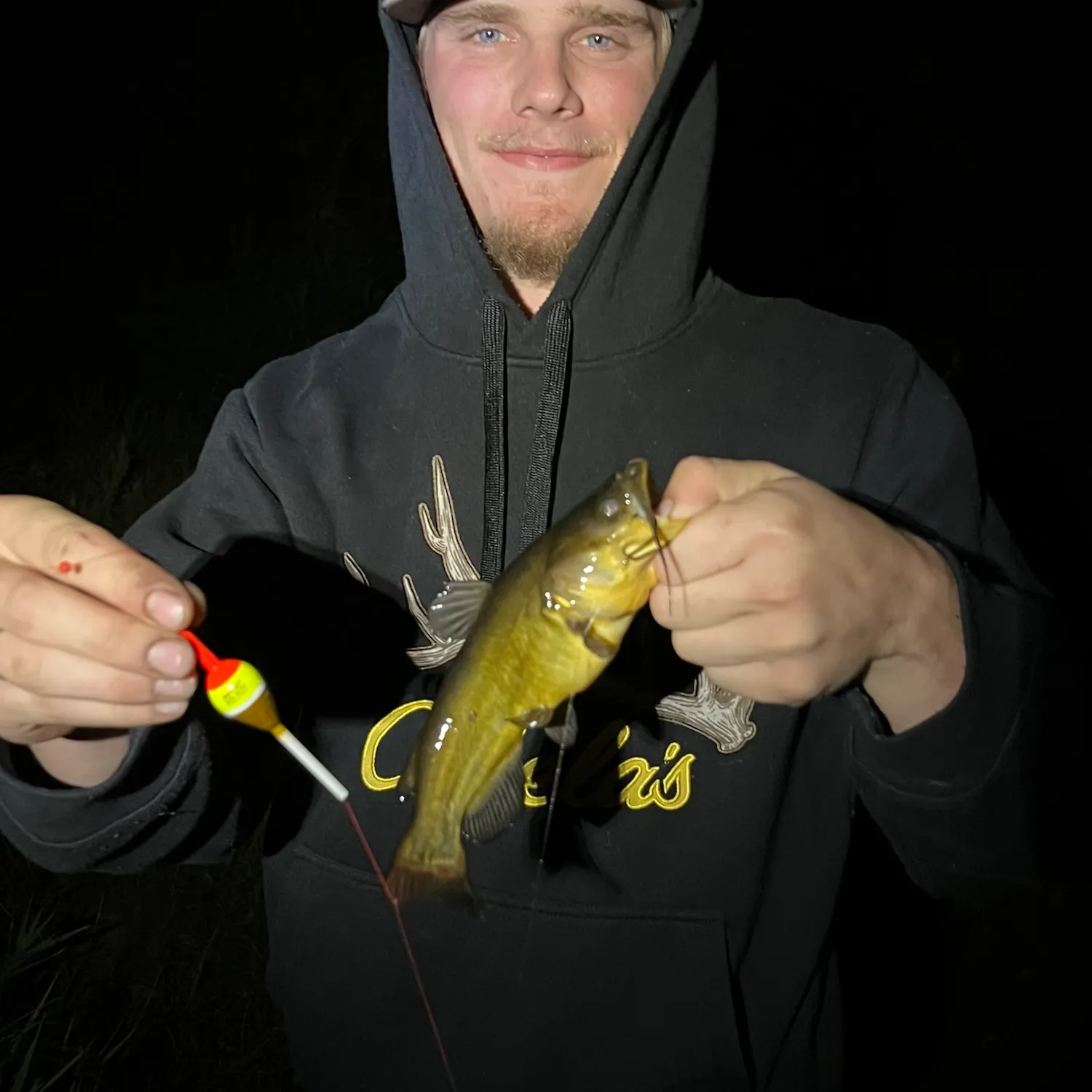 Yellow bullhead caught on Fishbrain