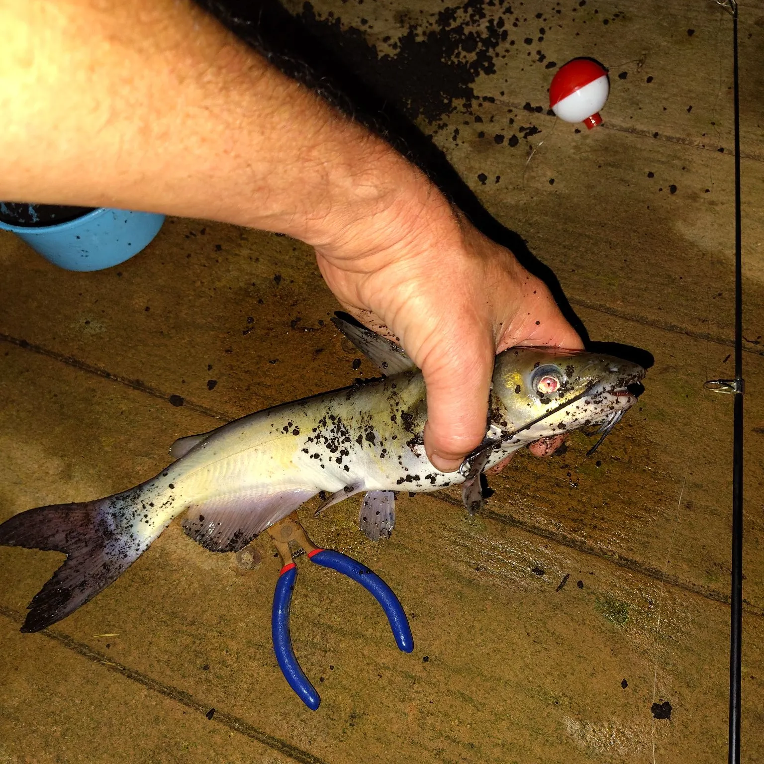 catch
