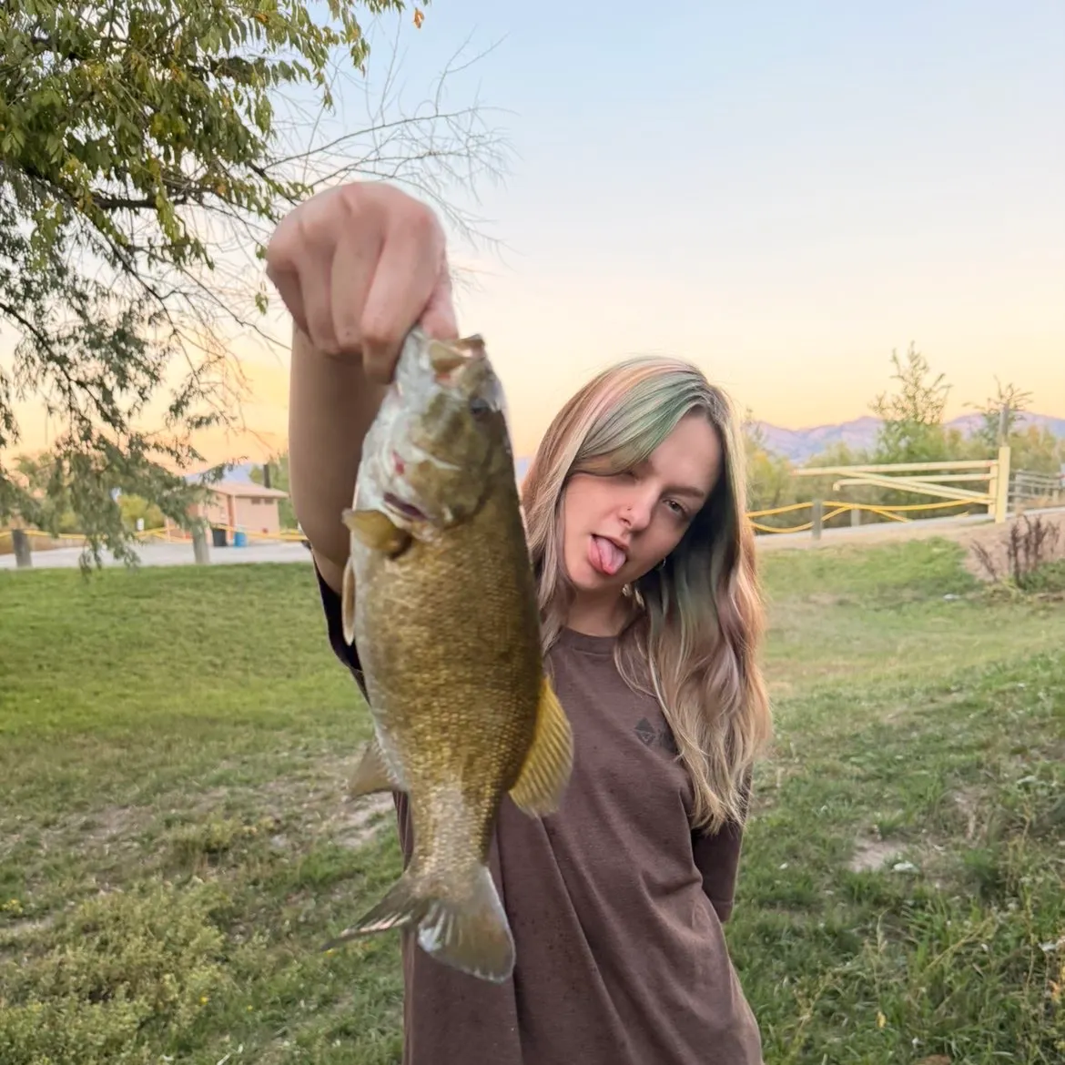 Smallmouth bass caught on Fishbrain