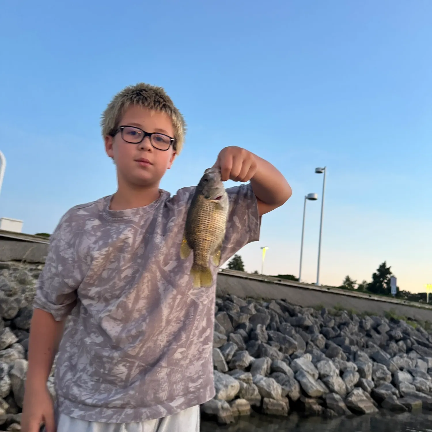 Rock bass caught on Fishbrain