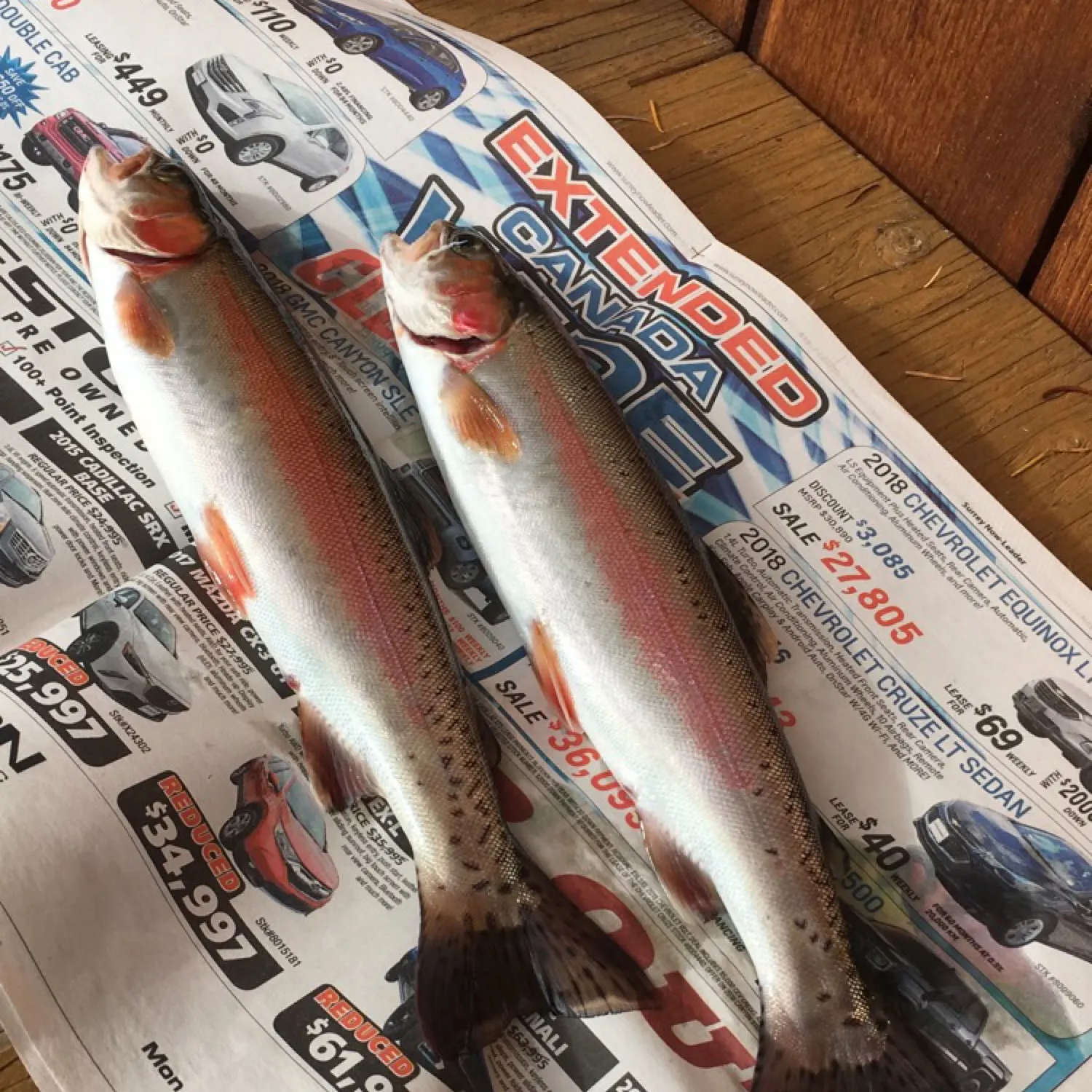 recently logged catches