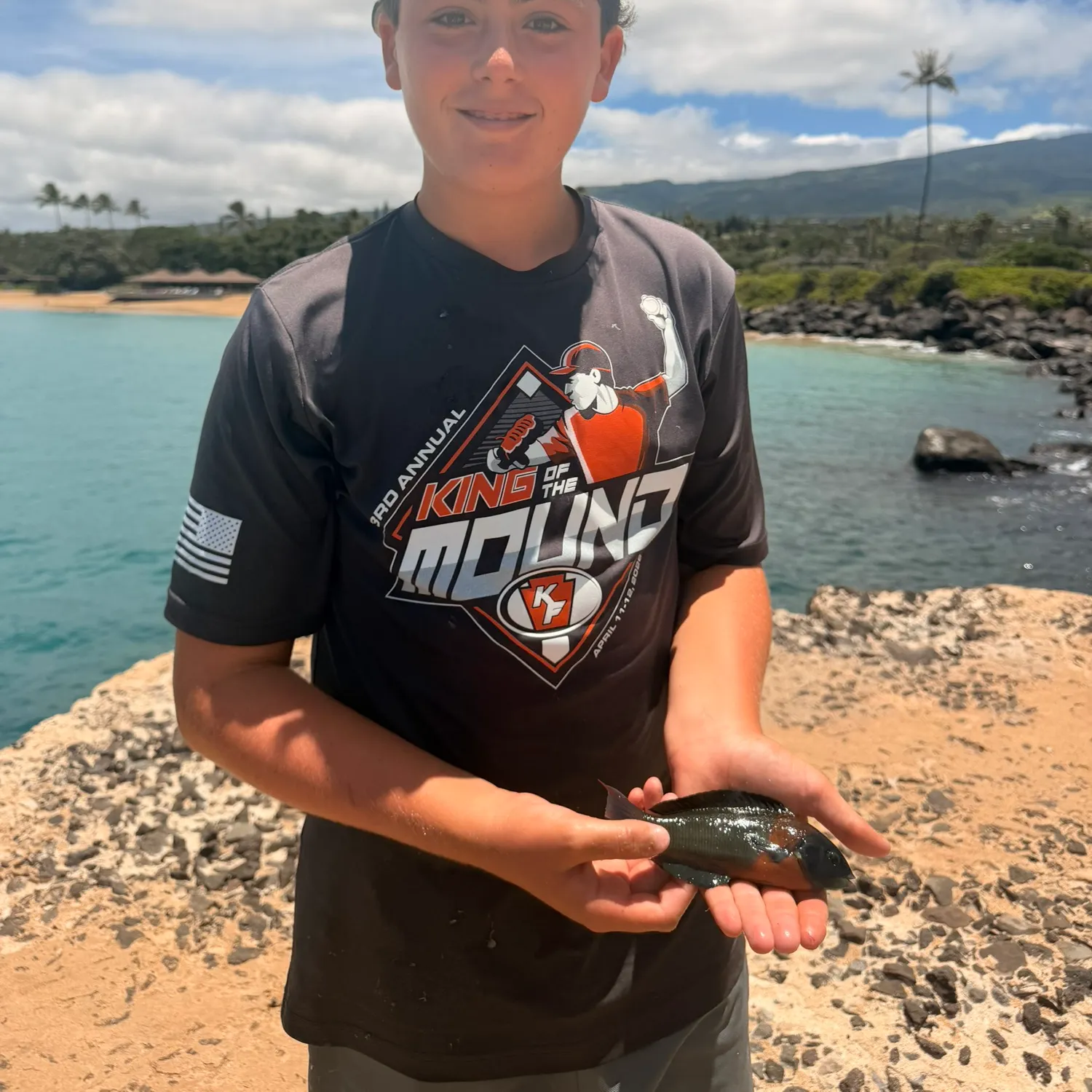 The most recent Saddle wrasse catches on Fishbrain