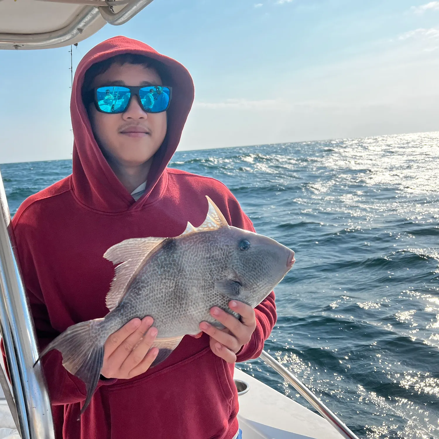 The most recent Grey triggerfish catches on Fishbrain