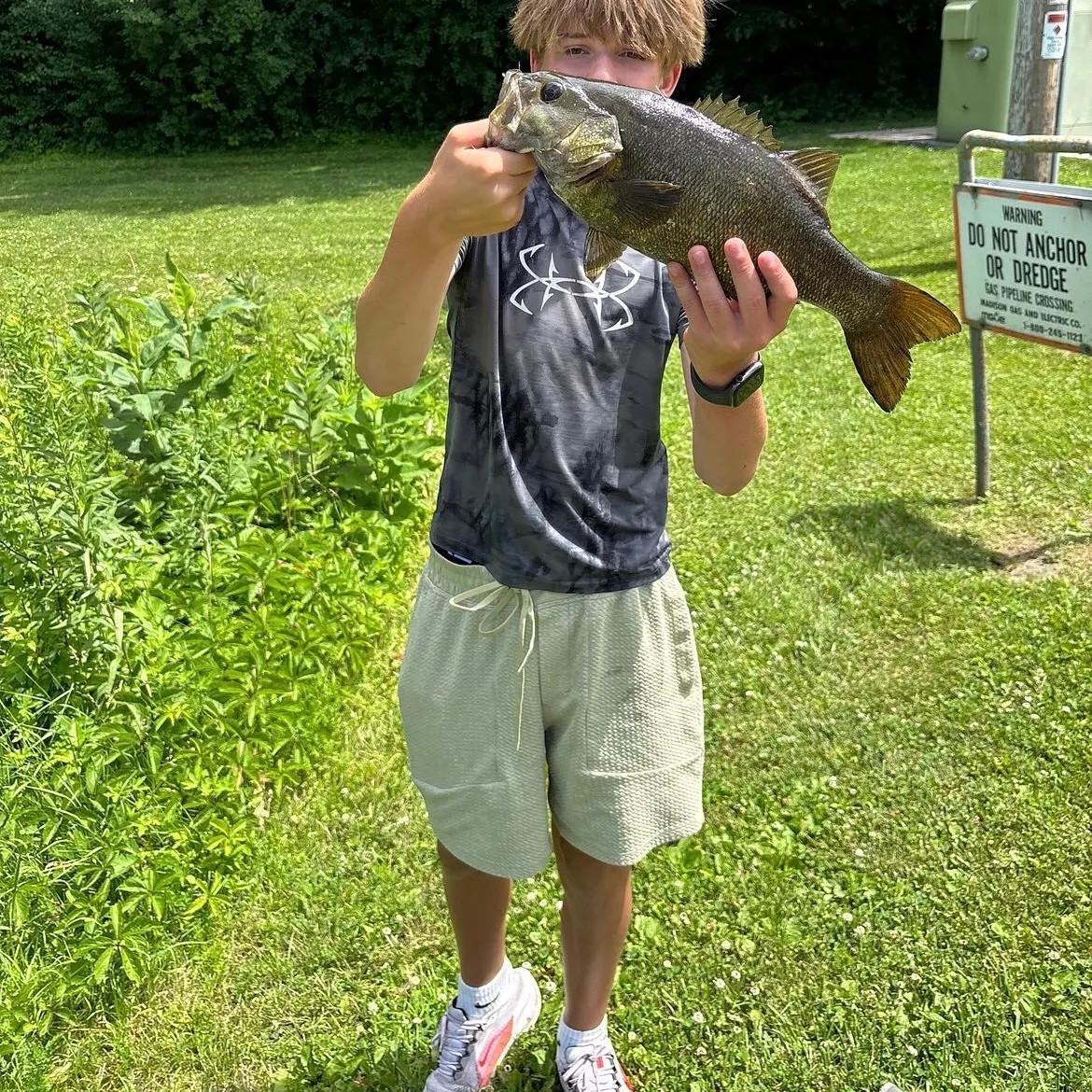 The most recent Smallmouth bass catches on Fishbrain