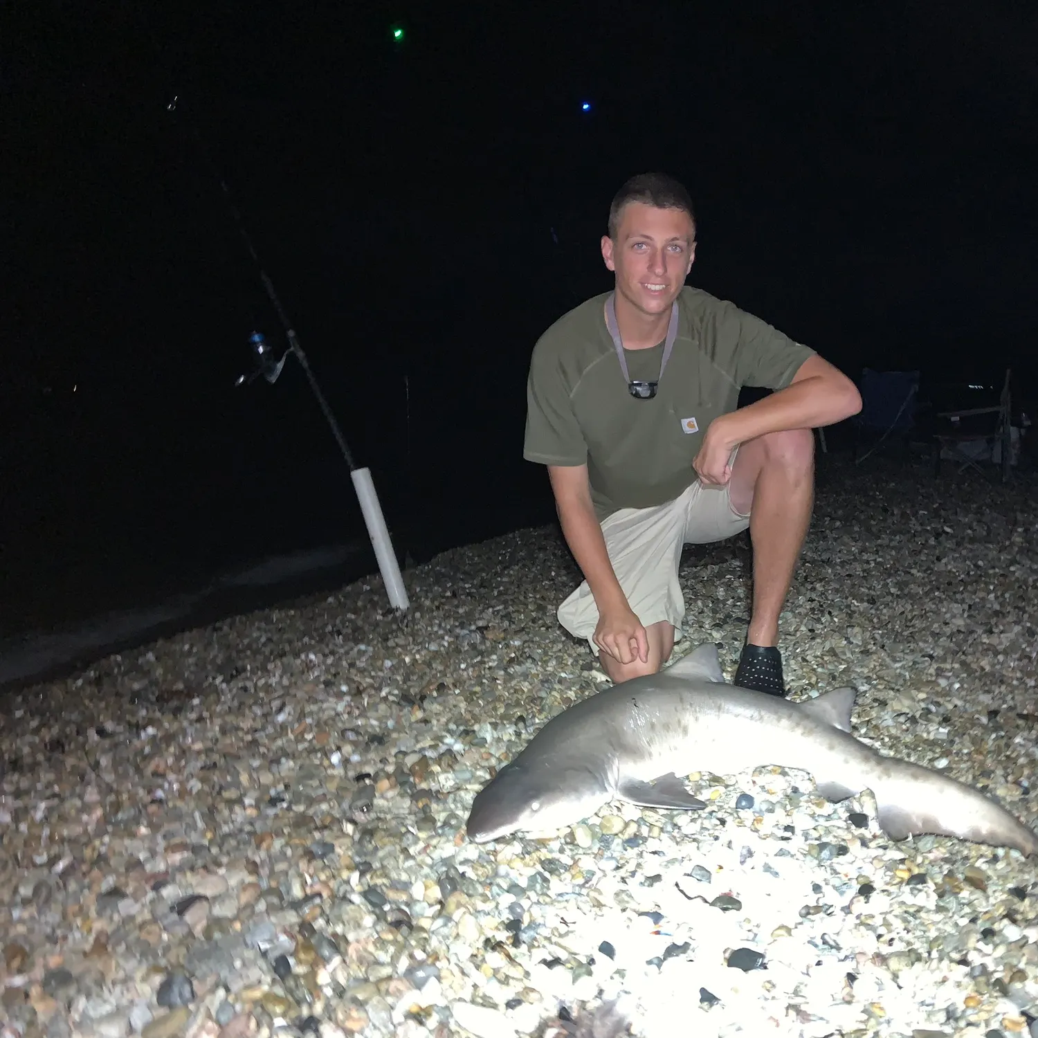 The most recent Sand tiger shark catches on Fishbrain