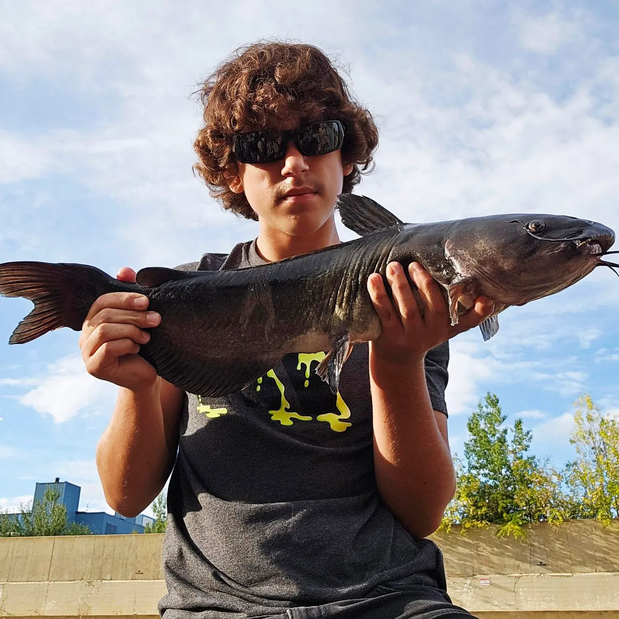 Channel catfish caught on Fishbrain