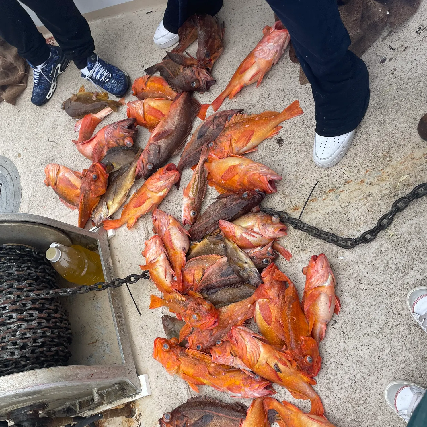 catch