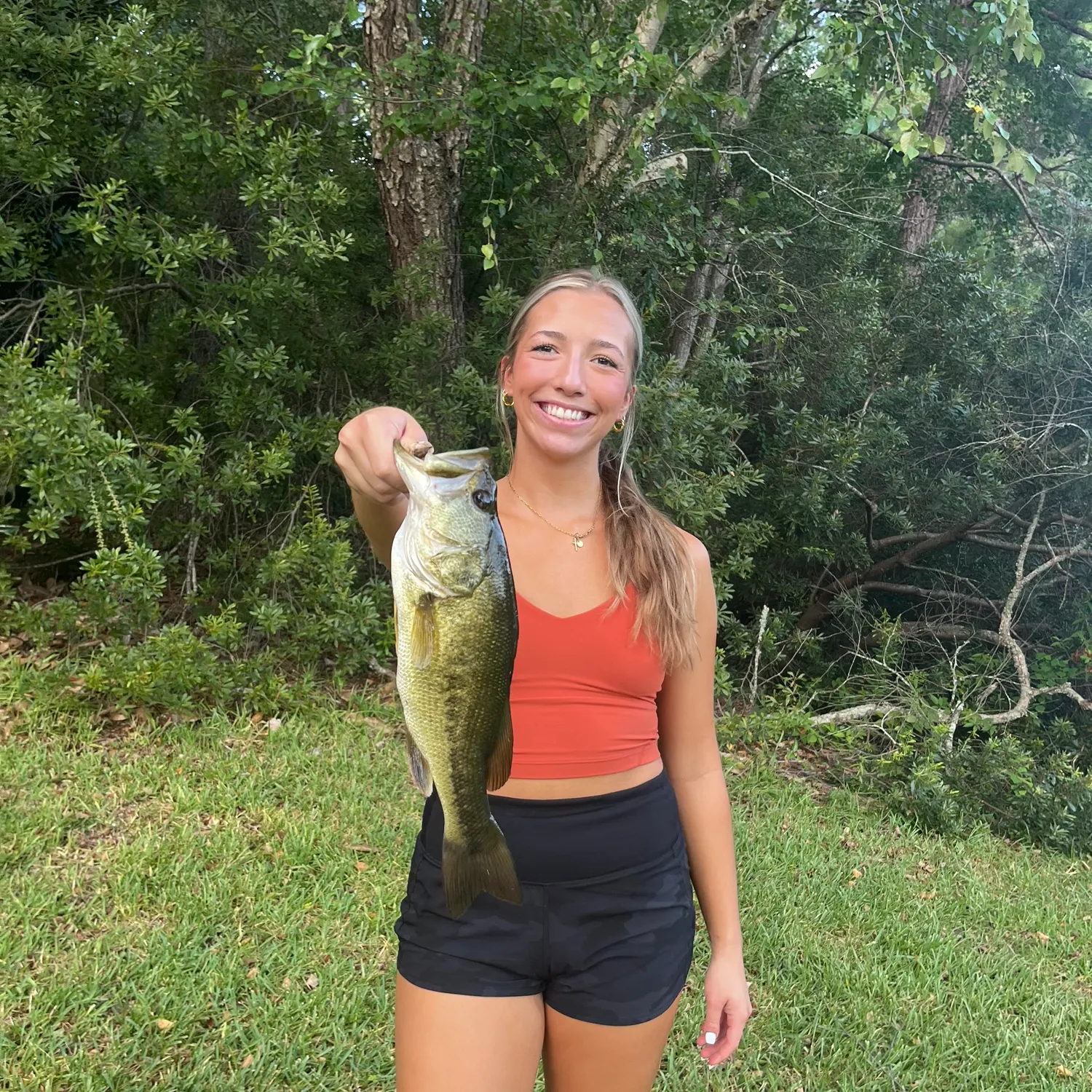 The most recent Largemouth bass catches on Fishbrain