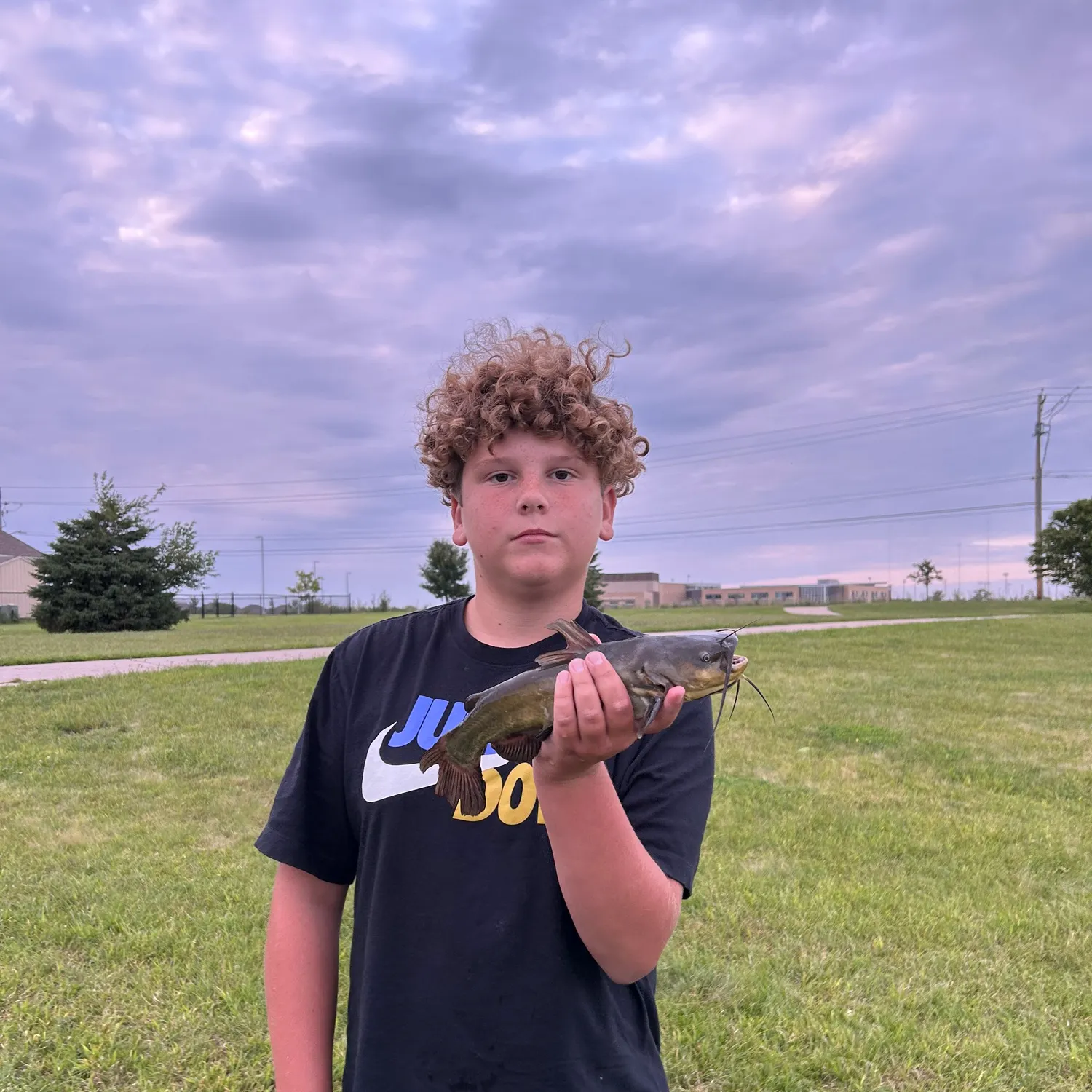 Yellow bullhead caught on Fishbrain