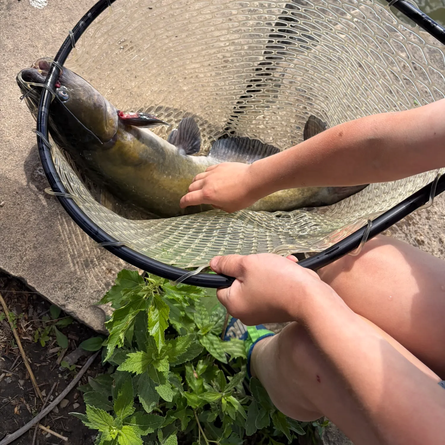 catch