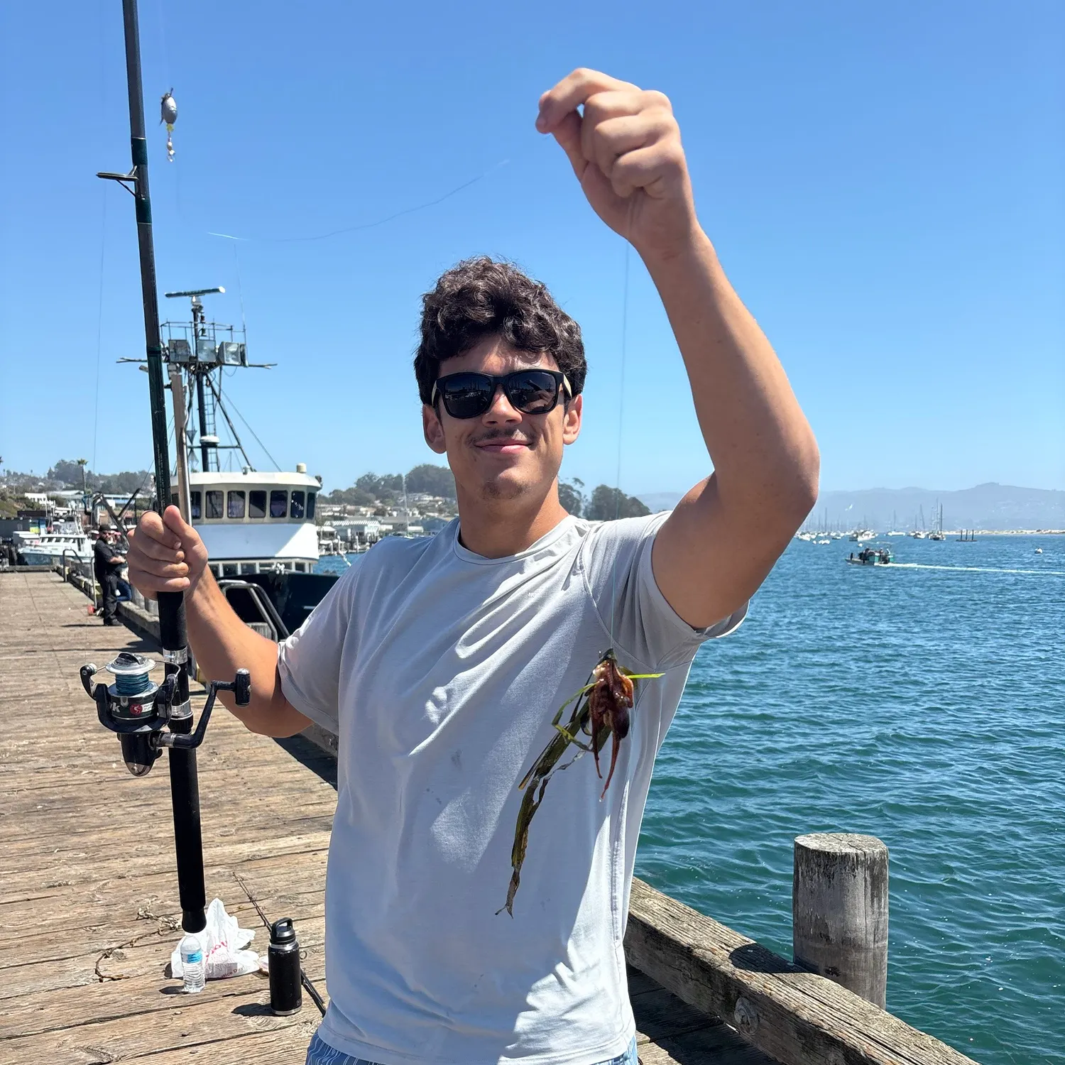 The most recent Hammer octopus catches on Fishbrain