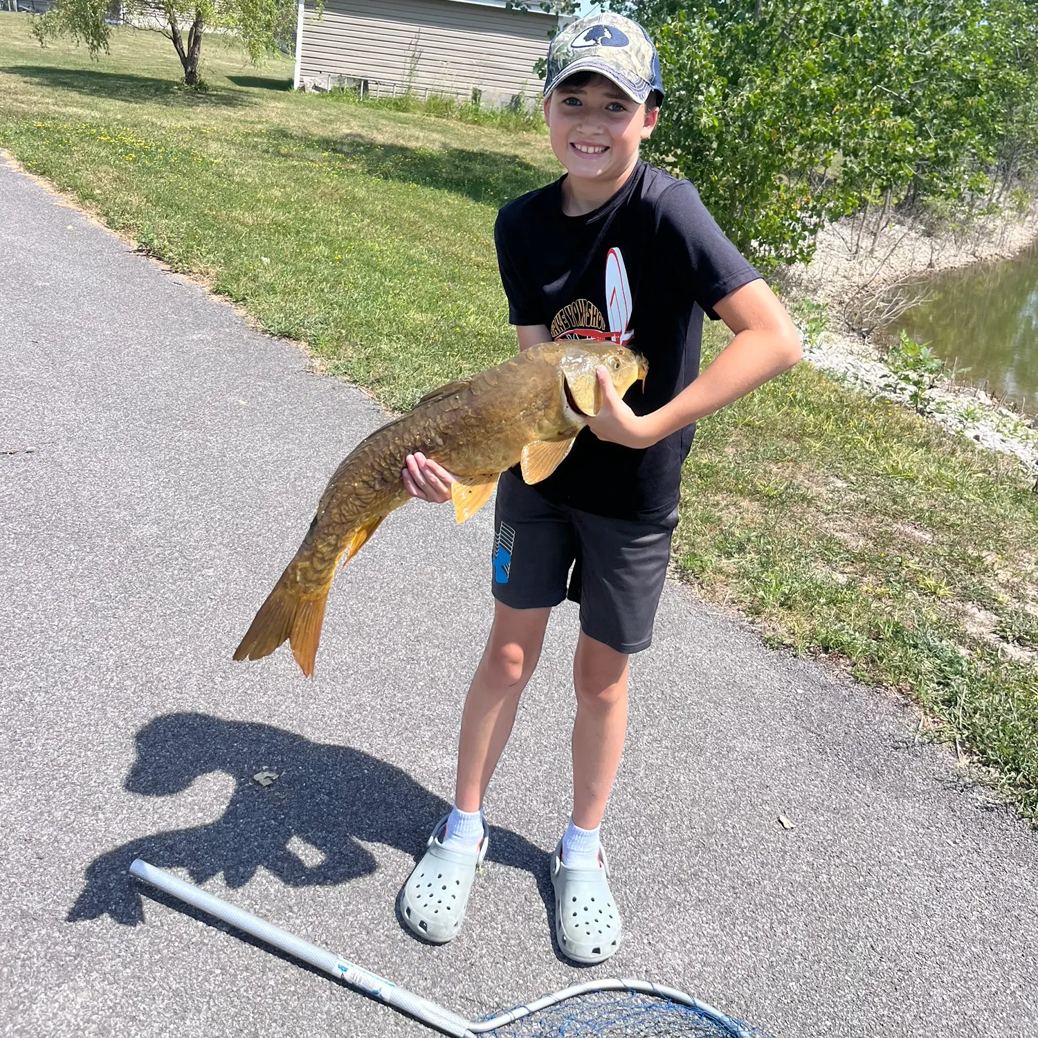 Mirror carp caught on Fishbrain