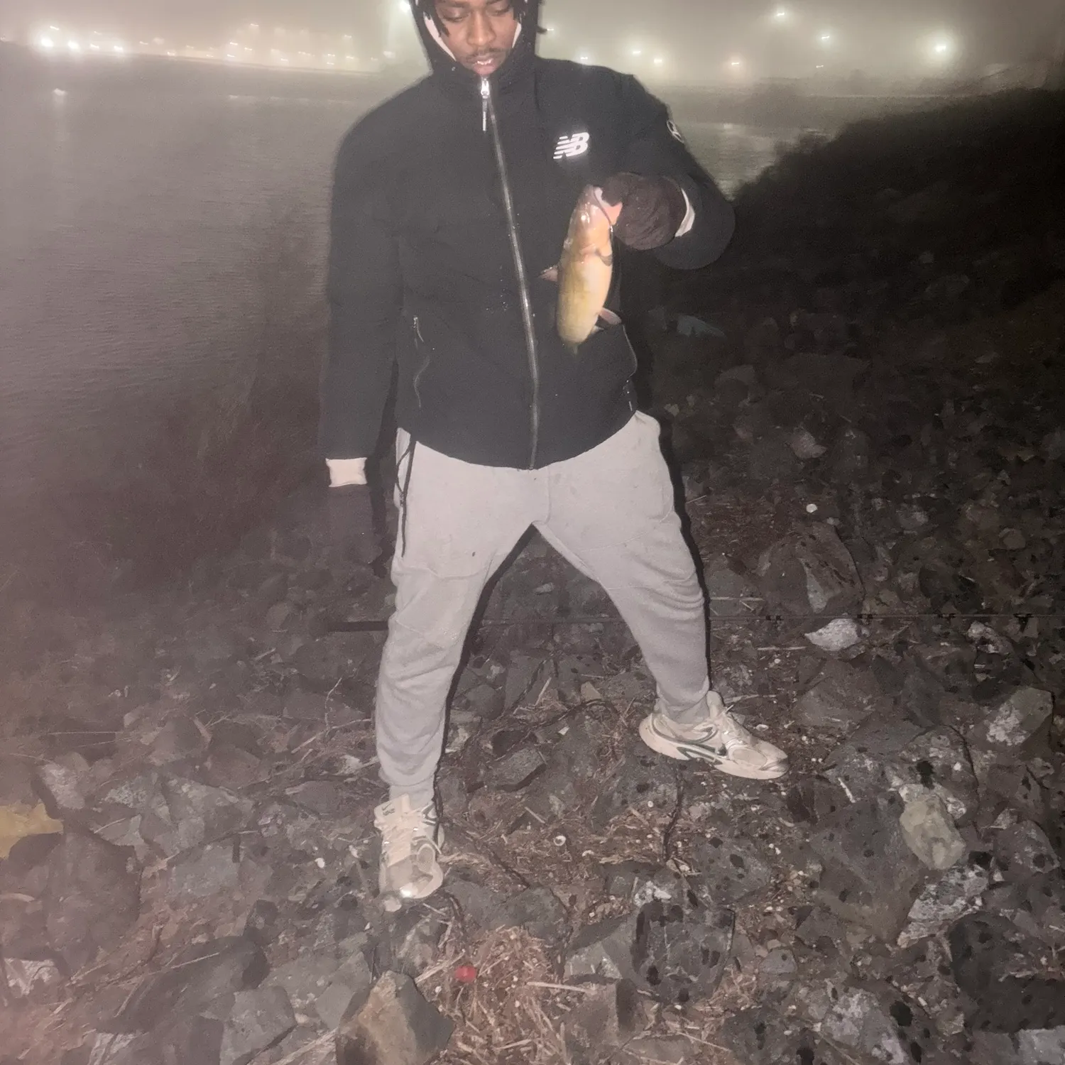 Yellow bullhead caught on Fishbrain