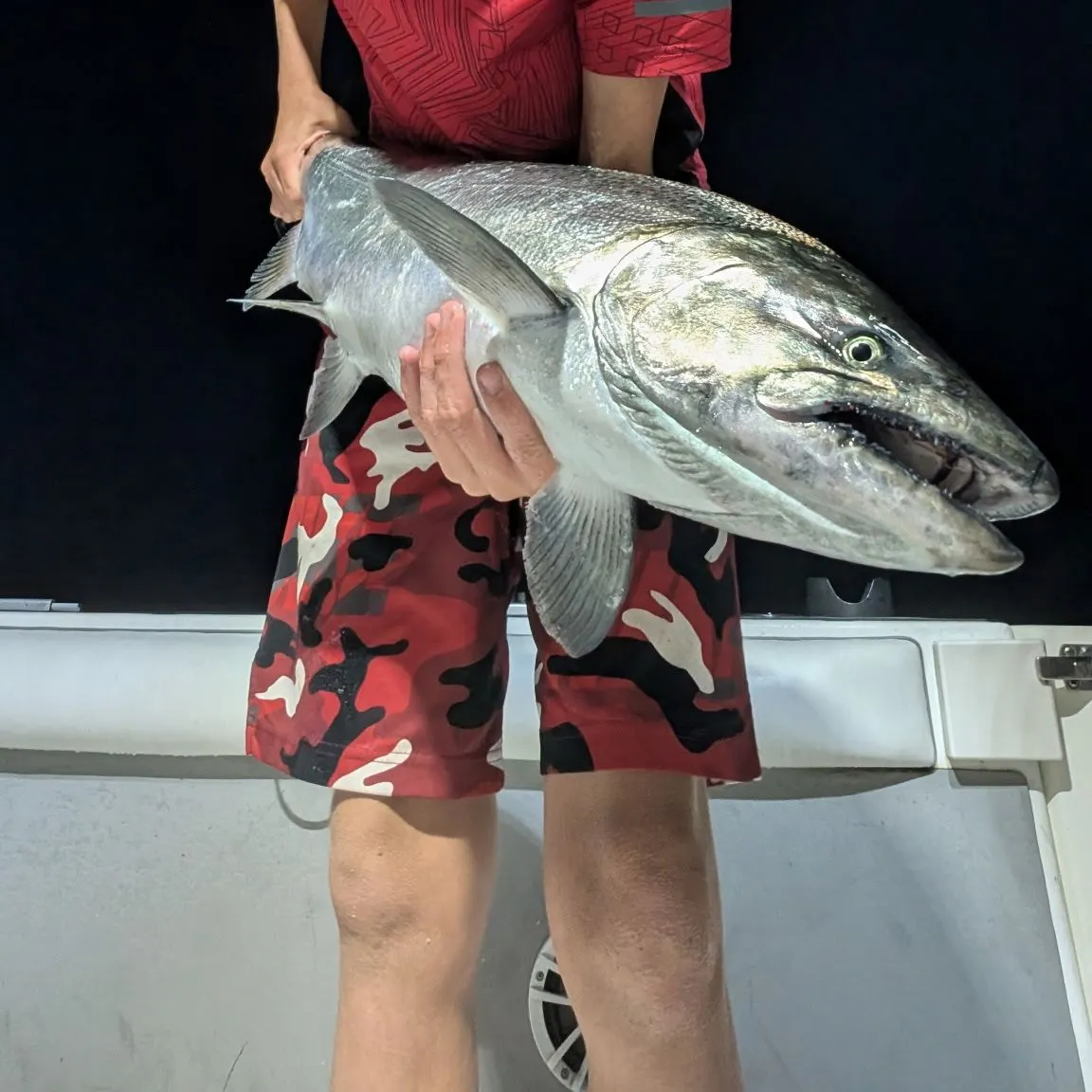 Chinook salmon caught on Fishbrain