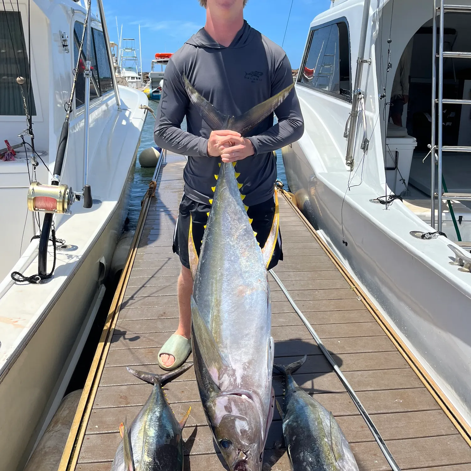 Yellowfin tuna caught on Fishbrain
