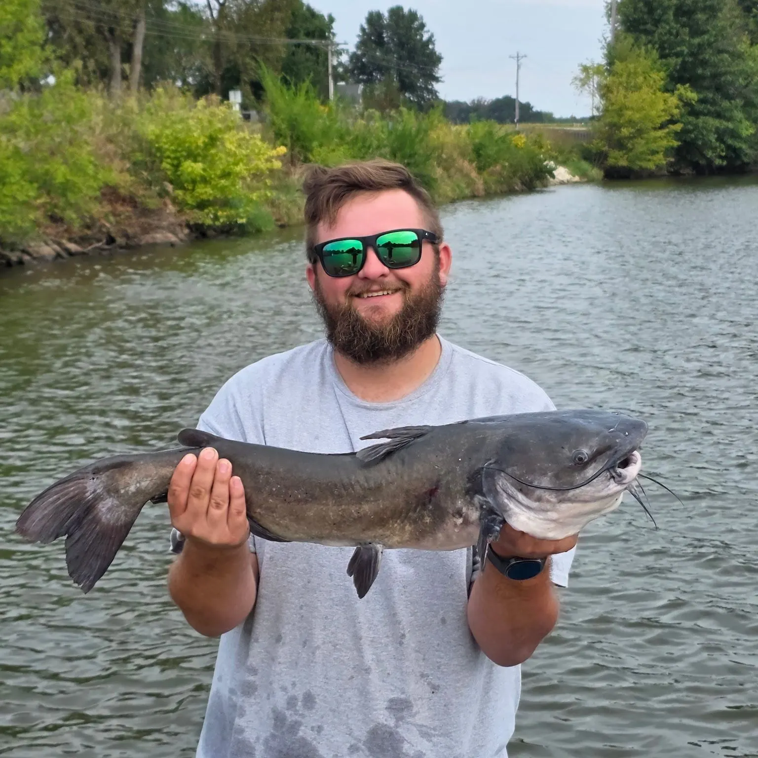 Channel catfish caught on Fishbrain